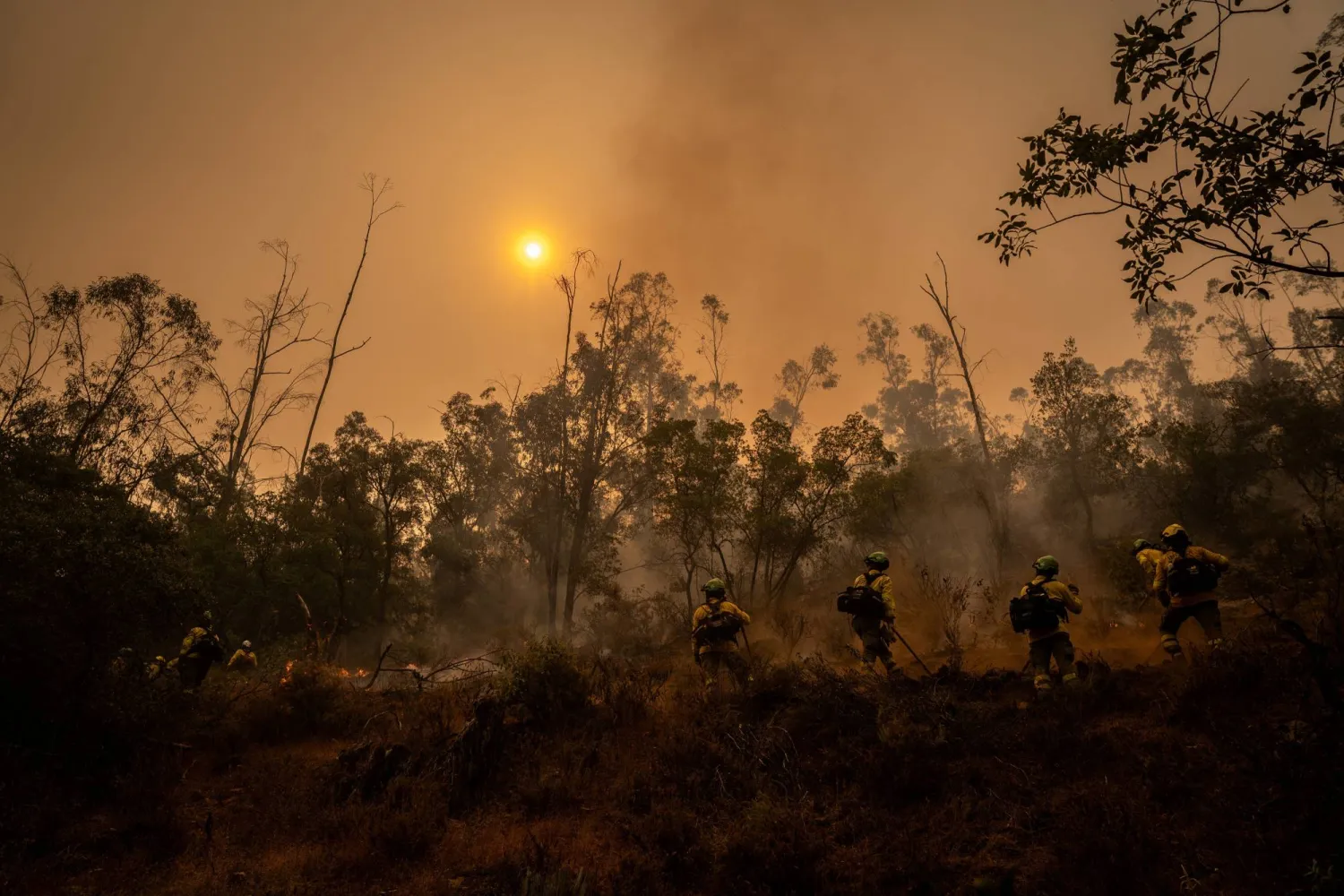 Members of the BRICA 401 and 402 units from Granada advance toward a fireline during a wildfire in Niebla, Huelva, Spain, August 8, 2026. REUTERS/Mikel Konate