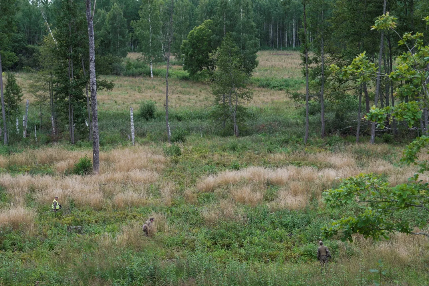  Servicemen of the Latvian National Guard walk on a field as they search for the debris from an intercepted drone, amid Russia's attack on Ukraine, in Rugaji, Latvia, August 14, 2026. (Reuters)