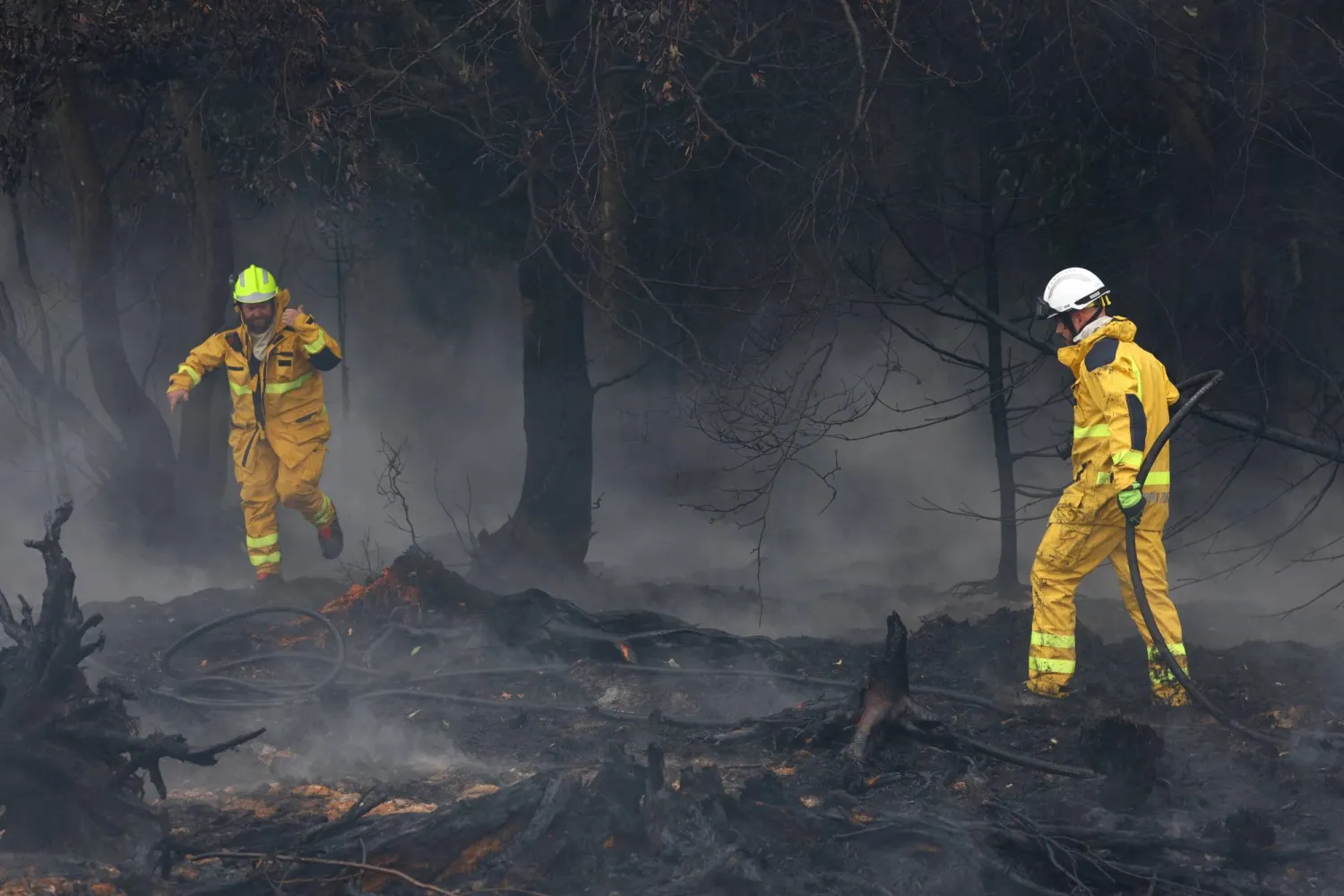 Belgian firefighters work in a forest affected by a wildfire in Waimes, Belgium, August 17, 2026. (Reuters) 
