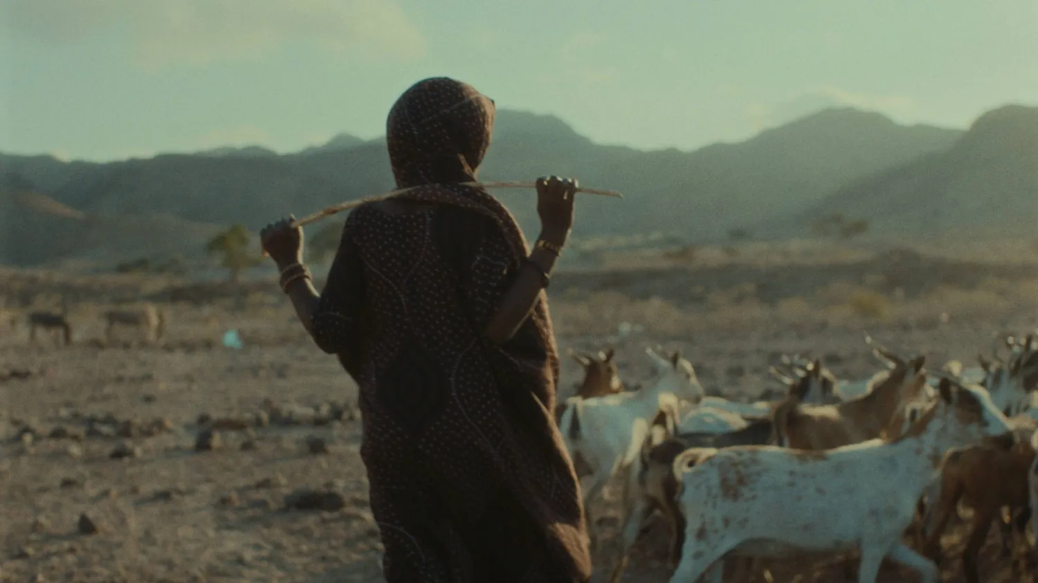 صور الفيلم في وقت قصير بسبب مشكلات التمويل (مهرجان لوكارنو)