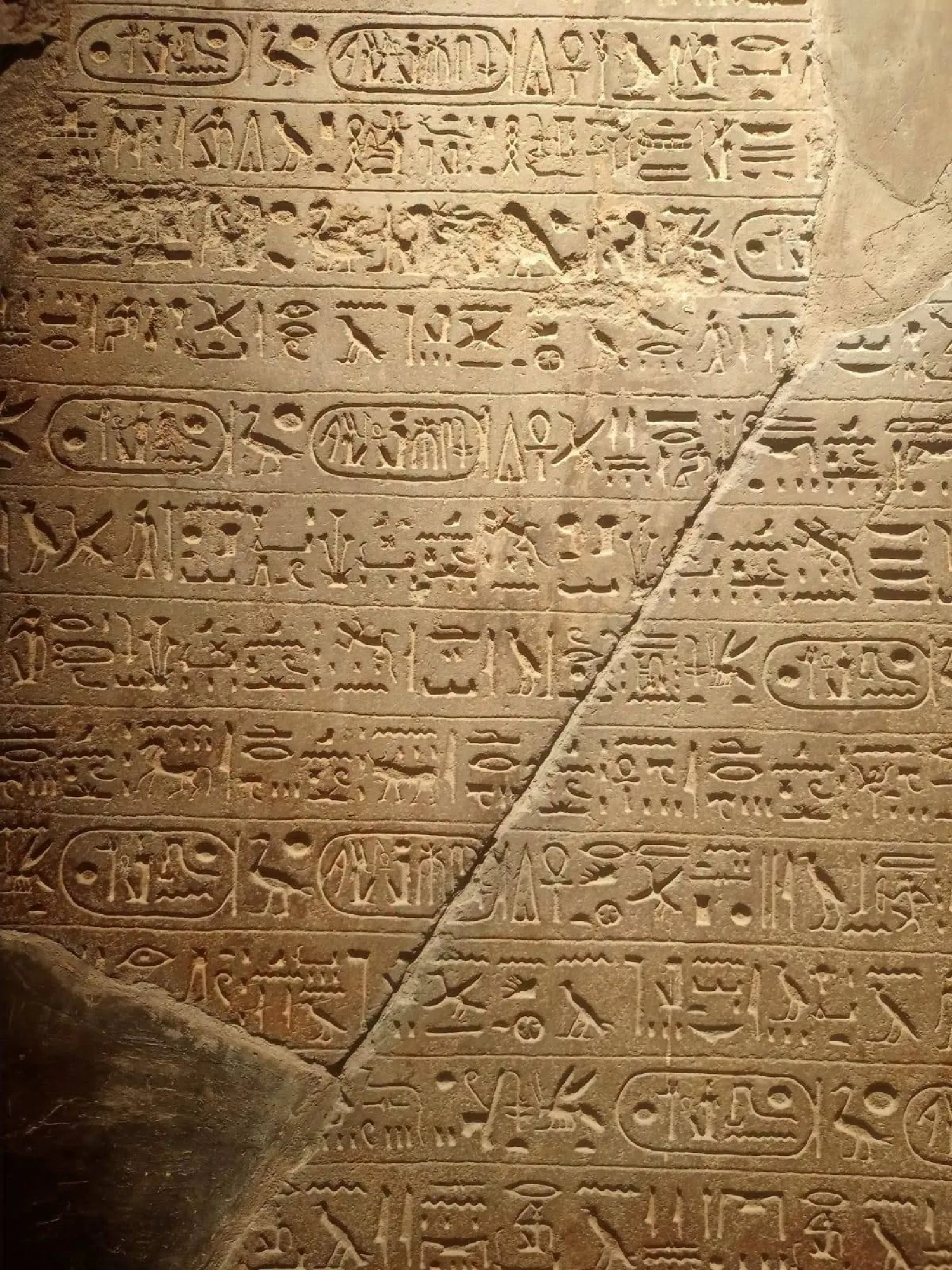 لوحة رمسيس الثاني النادرة بعد إعادة عرضها بالمتحف المصري (وزارة السياحة والآثار)