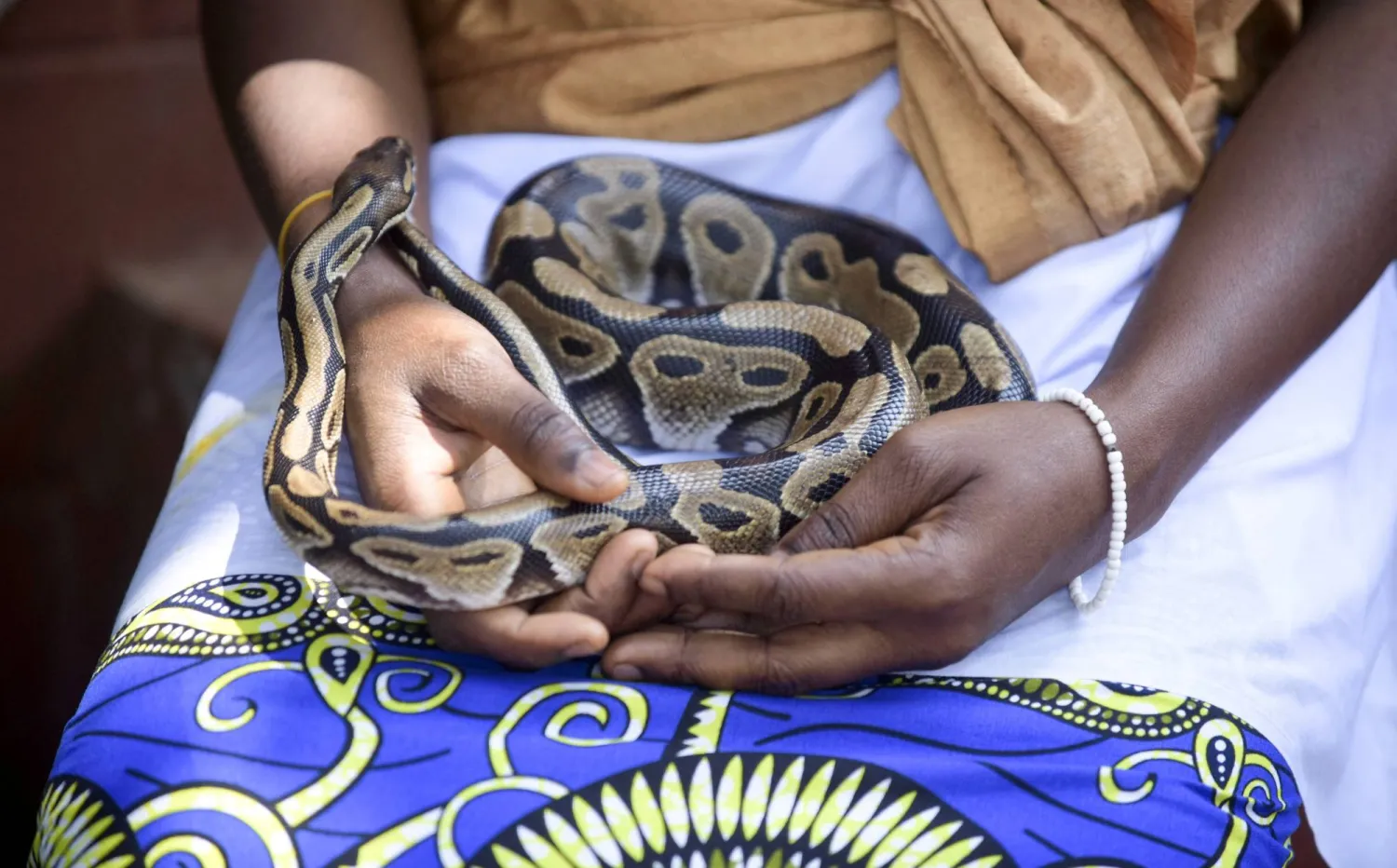 A follower of the Python Temple attends the annual Mask Festival in Porto-Novo, Benin, July 25, 2026. REUTERS/Charles Placide Tossou