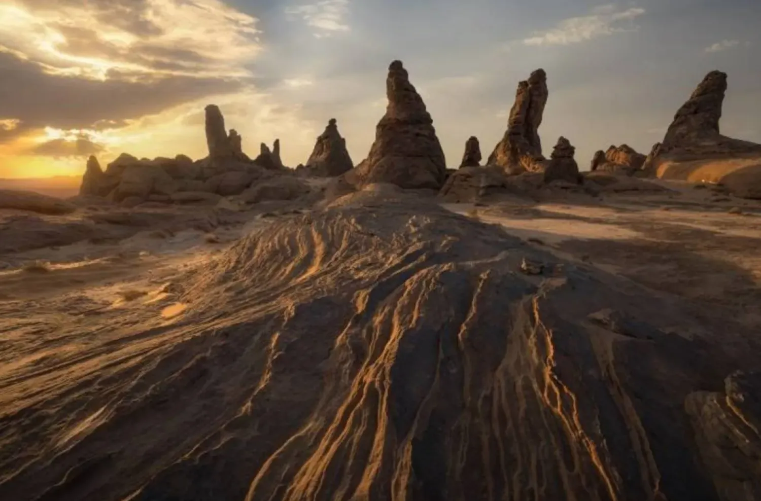 The King Salman Bin Abdulaziz Royal Natural Reserve (SPA).
