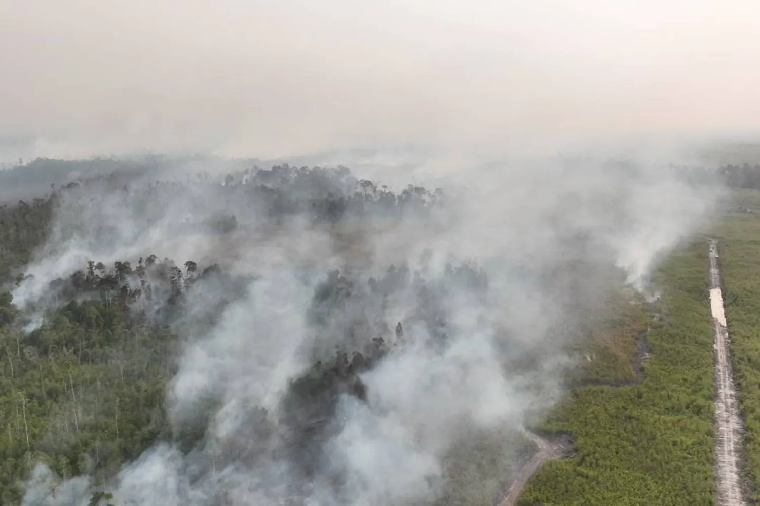 In this aerial photo released by Indonesia's National Disaster Mitigation Agency (BNPB) on Friday, Aug. 21, 2026, smoke billows as a wildfire rages through a peatland forest in Bulungan, North Kalimantan, Indonesia. (BNPB via AP)