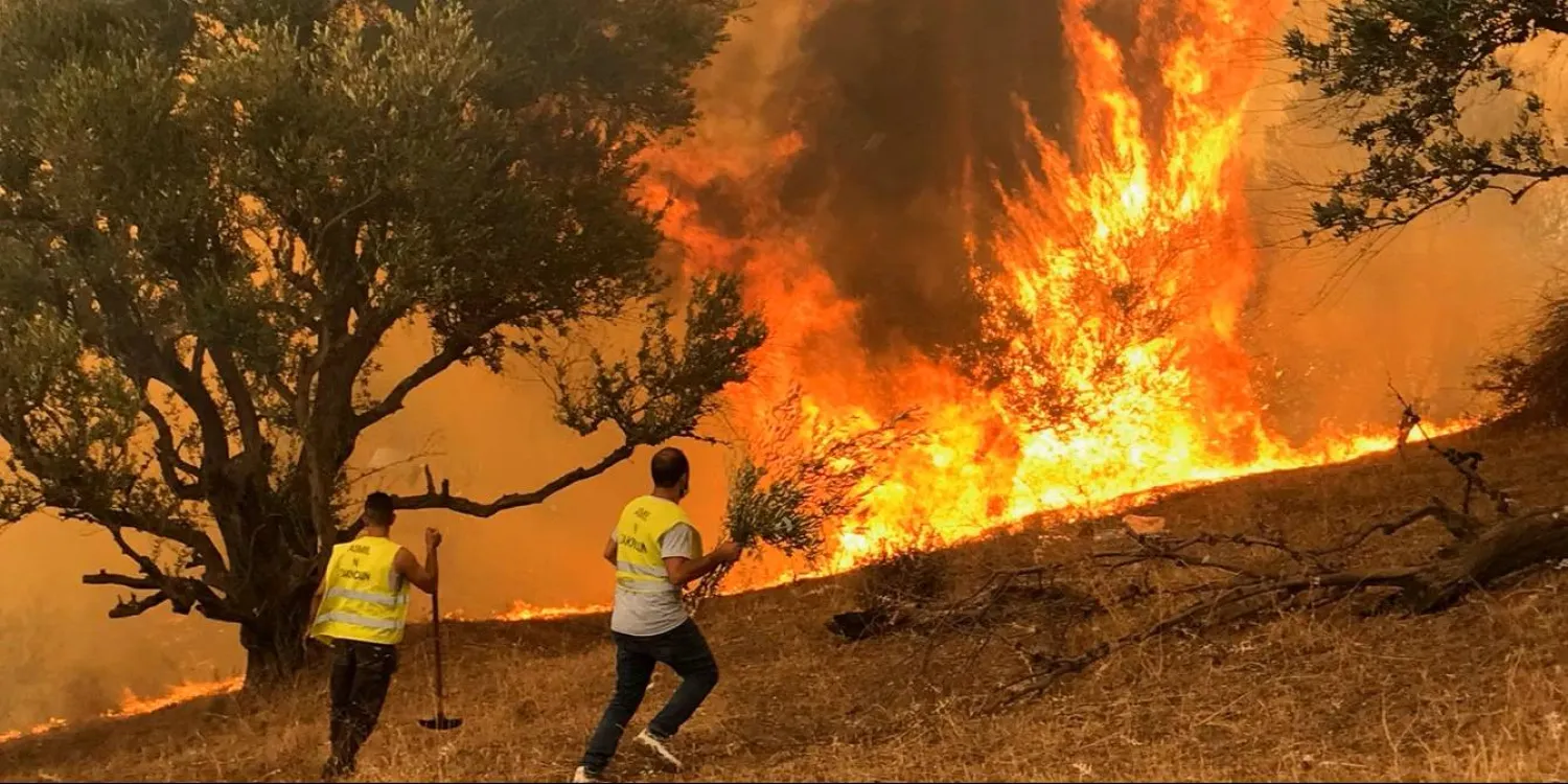 Every summer, northern Algeria is hit by forest fires, a phenomenon exacerbated by drought and climate change. (Reuters file)
