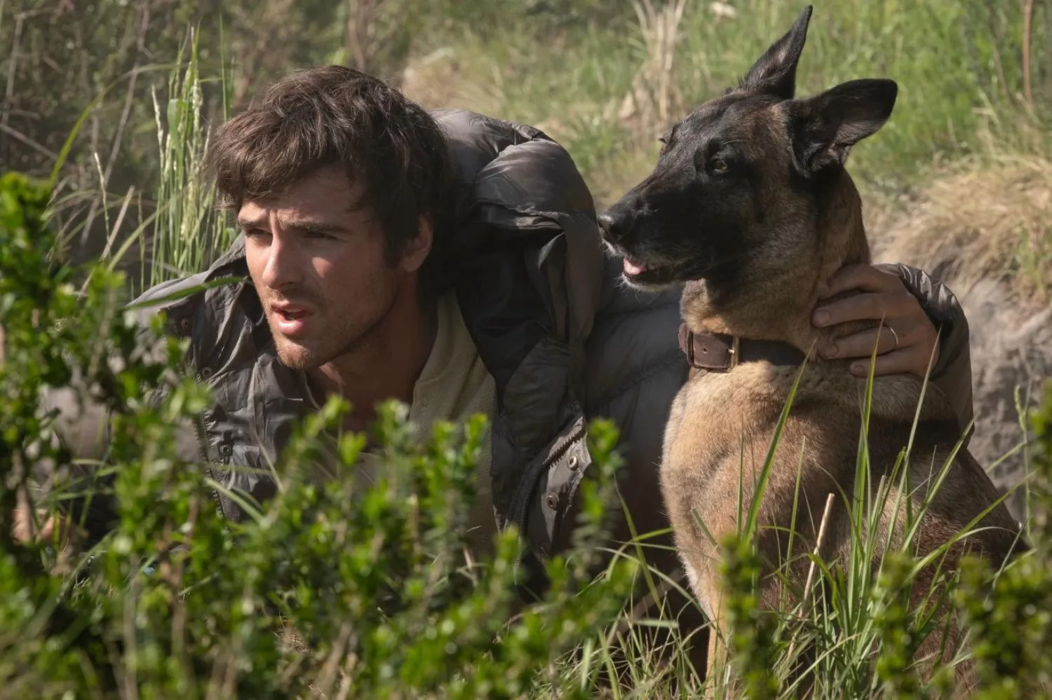 Köpek ve Yıldızlar'da başroldeki Euphoria yıldızı Jacob Elordi'ye Jasper adlı köpek eşlik ediyor (20th Century Studios)