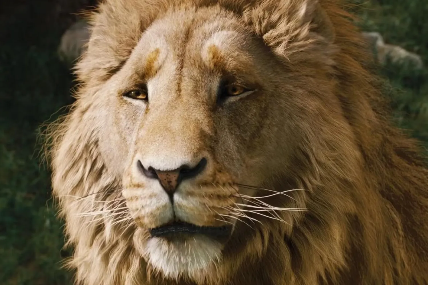 C.S. Lewis'in Narnia Günlükleri (The Chronicles of Narnia) serisinde yer alan Aslan, fantastik edebiyat tarihinin en güçlü, bilge ve ikonik figürlerinden biri (Walt Disney Studios Motion Pictures)