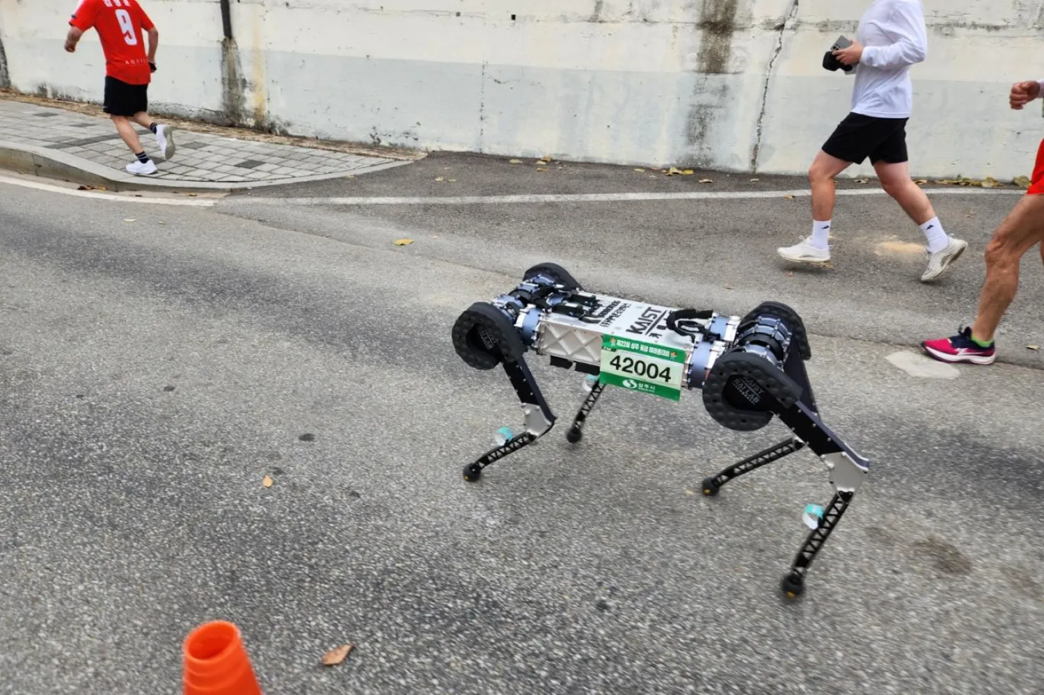 Güney Kore'de düzenlenen Sangju Kuru Hurma Maratonu'na katılan RAIBO2 (KAIST)