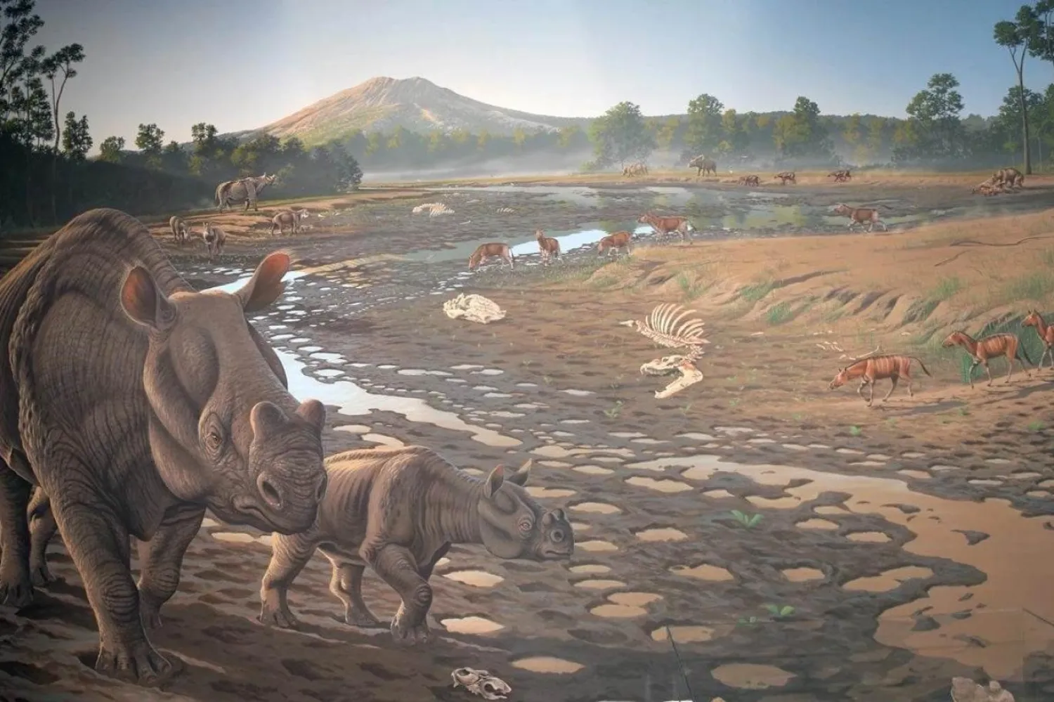 Kaliforniya'nın güneyindeki ekipler, bu antik memeliye ait olabilecek kemikleri ortaya çıkardı (Roger Witter/NPS)