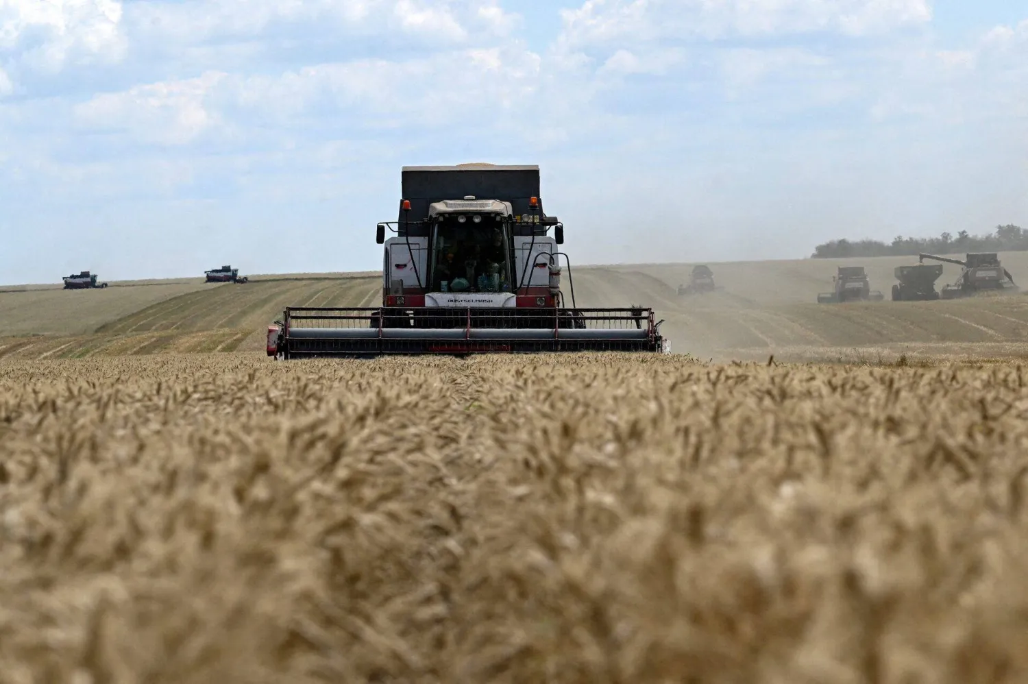 حصادة تحصد القمح في حقل بمنطقة روستوف الروسية (رويترز)