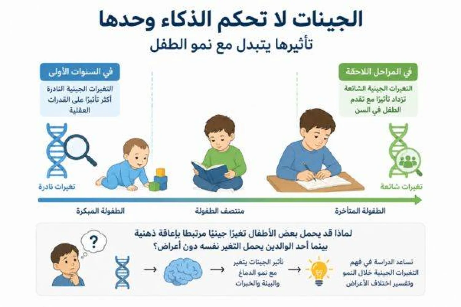 تأثير الجينات في القدرات العقلية يتغير مع نمو الطفل