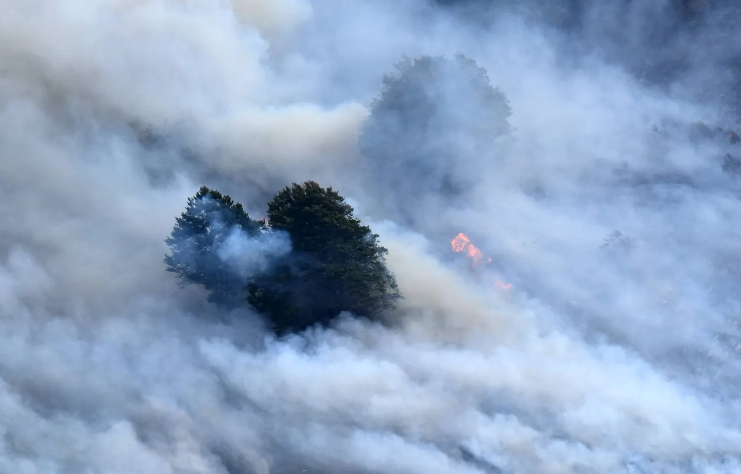 This photograph shows a plume of smoke engulfing trees during a wildfire near Etsaut, southwestern France, on September 6, 2026. (AFP)