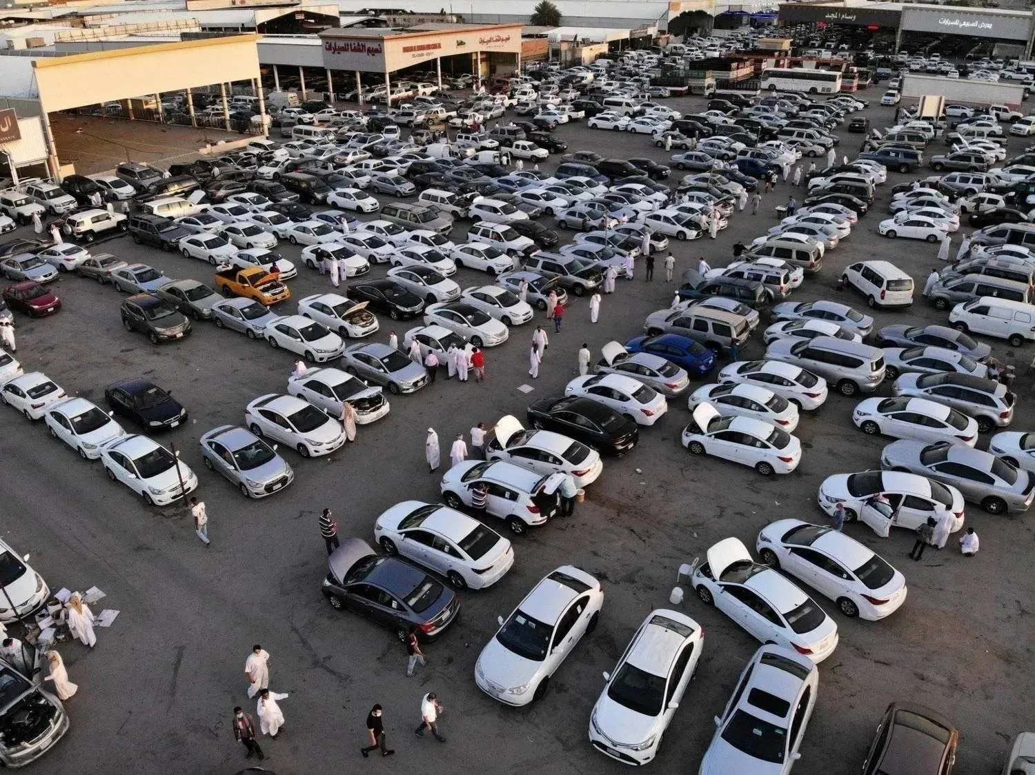  A vehicle showroom in Riyadh (Asharq Al-Awsat) 
