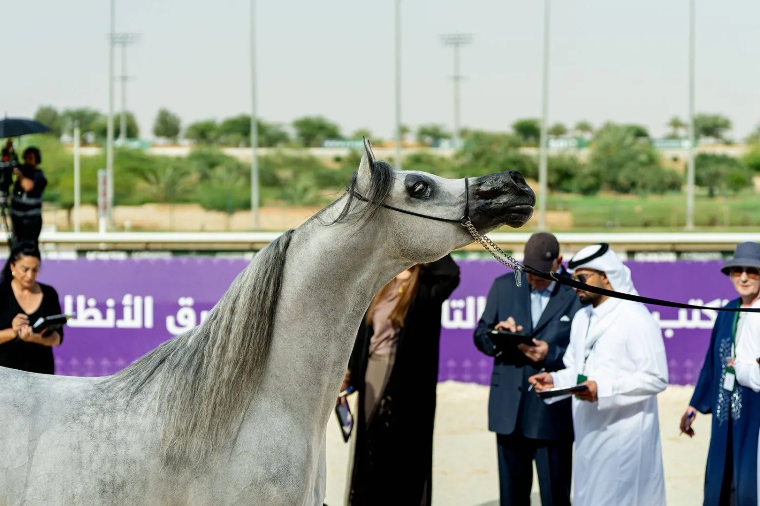 30 سبتمبر تنطلق منافسات البطولة الوطنية لجمال الخيل (الشرق الأوسط)