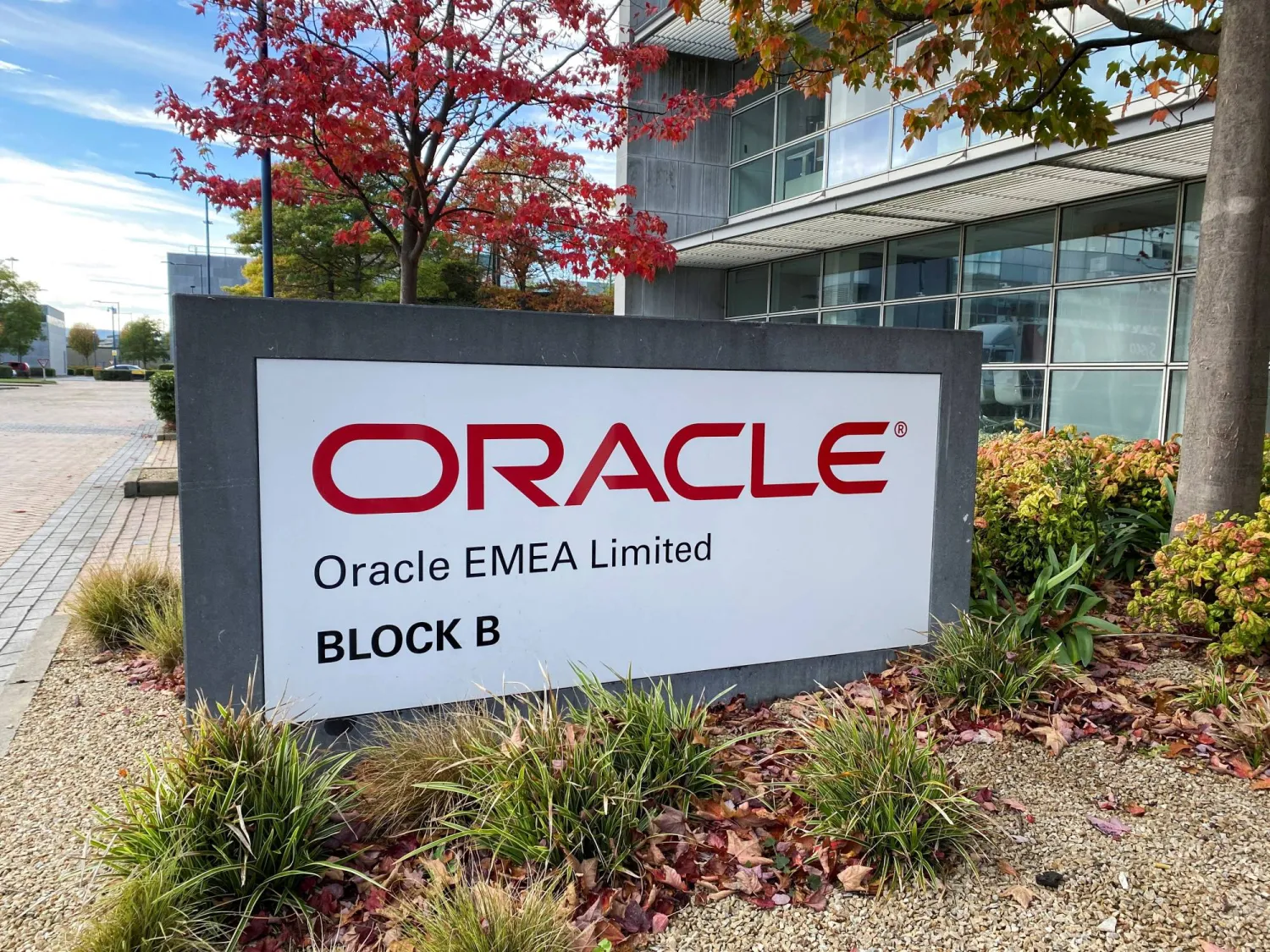 FILE PHOTO: A logo of cloud service provider Oracle is seen at the company's offices at Eastpoint Business Park, Dublin, Ireland October 18, 2021. REUTERS/Tom Bergin/File Photo
