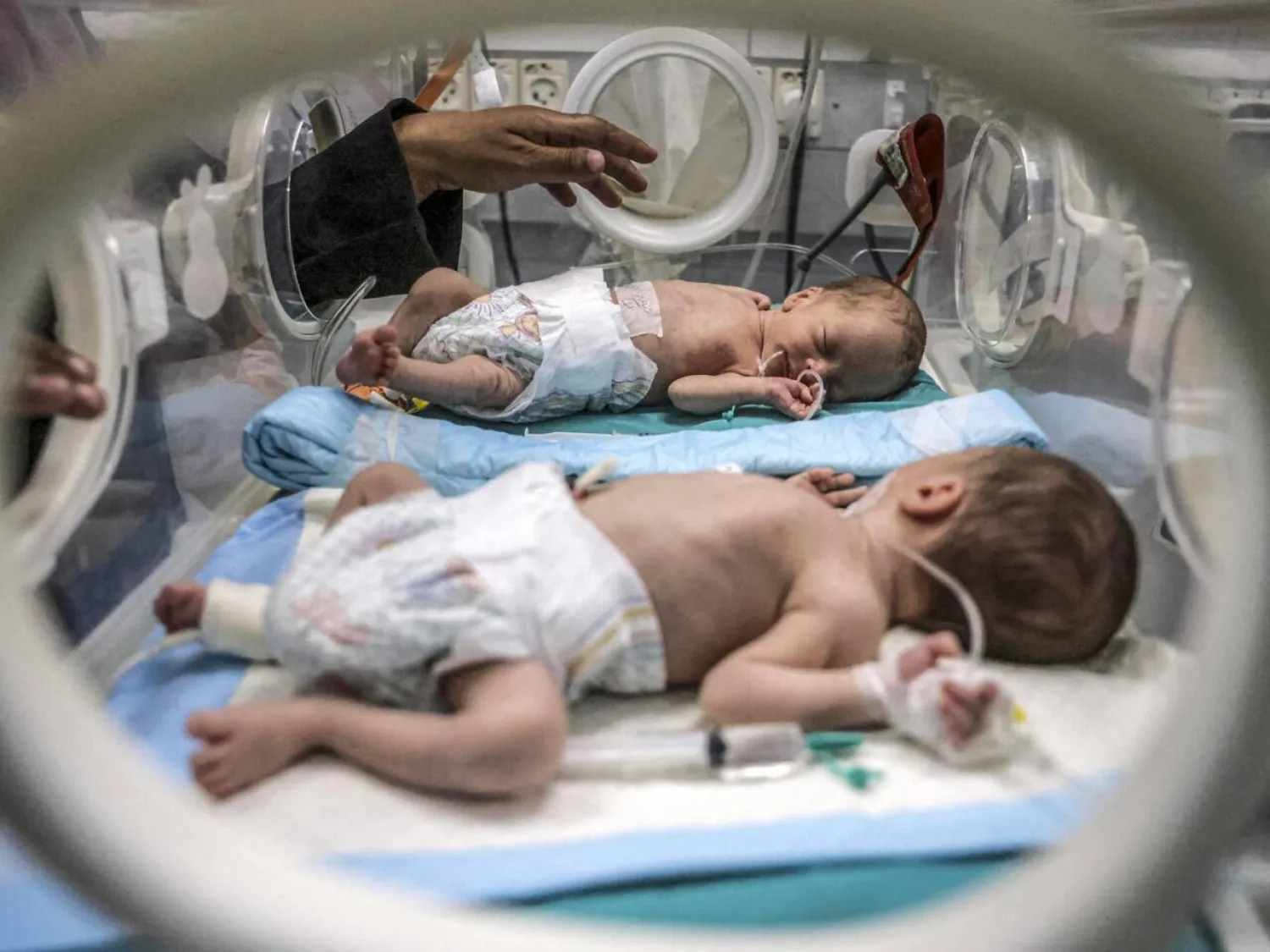 The war in Gaza has devastated the territory's healthcare system, leaving premature babies even more vulnerable. BASHAR TALEB / AFP
