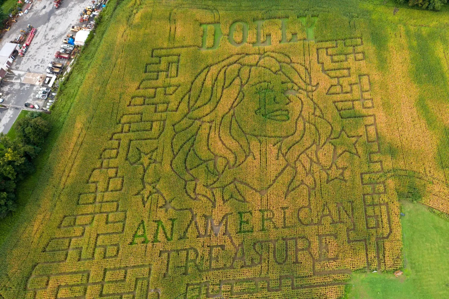  A portrait of Dolly Parton fills a 5-acre corn maze at Twins BBQ Co. in Brookfield, Conn., on Sunday, Sept. 13, 2026. (AP) 