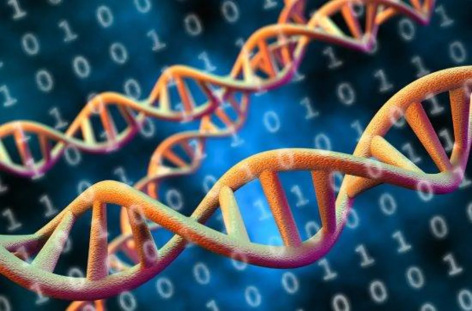 يظهر هذا الإنجاز حاسوباً من خيوط الحمض النووي (جامعة ماينوث)