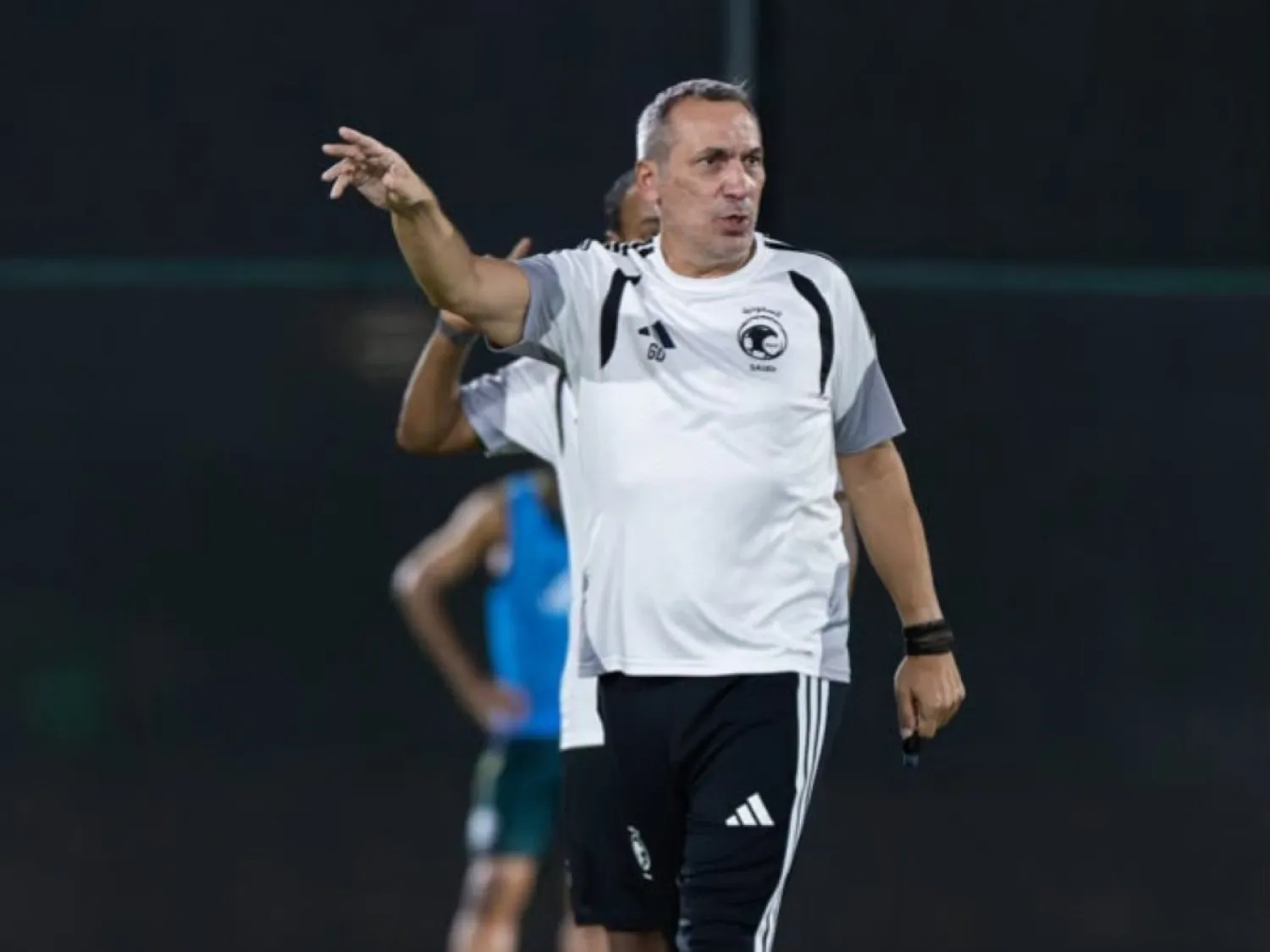  جيورجيوس دونيس (المنتخب السعودي)