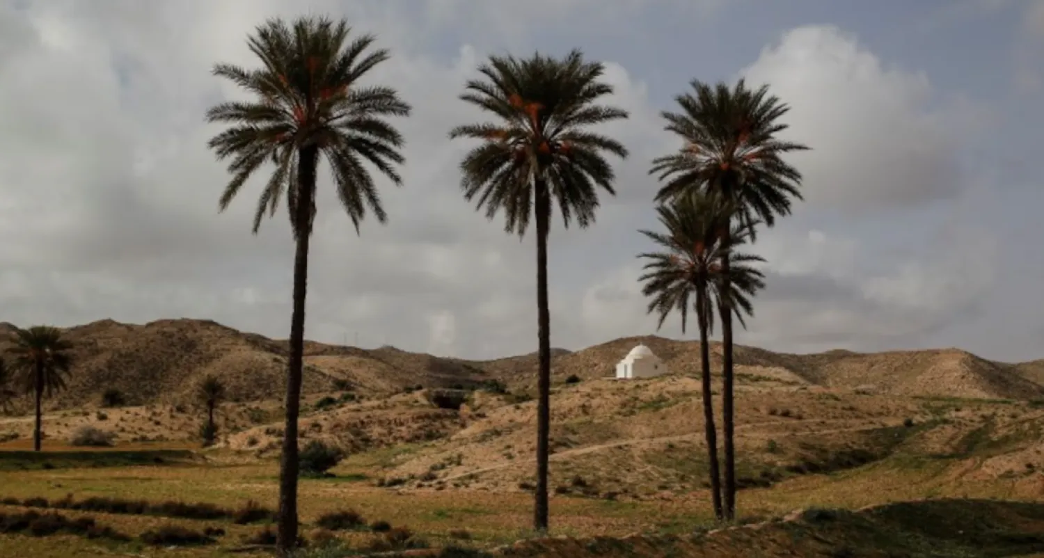 درجات الحرارة المرتفعة في تونس أثرت على إمدادات الكهرباء والمياه الصالحة للشرب (رويترز)