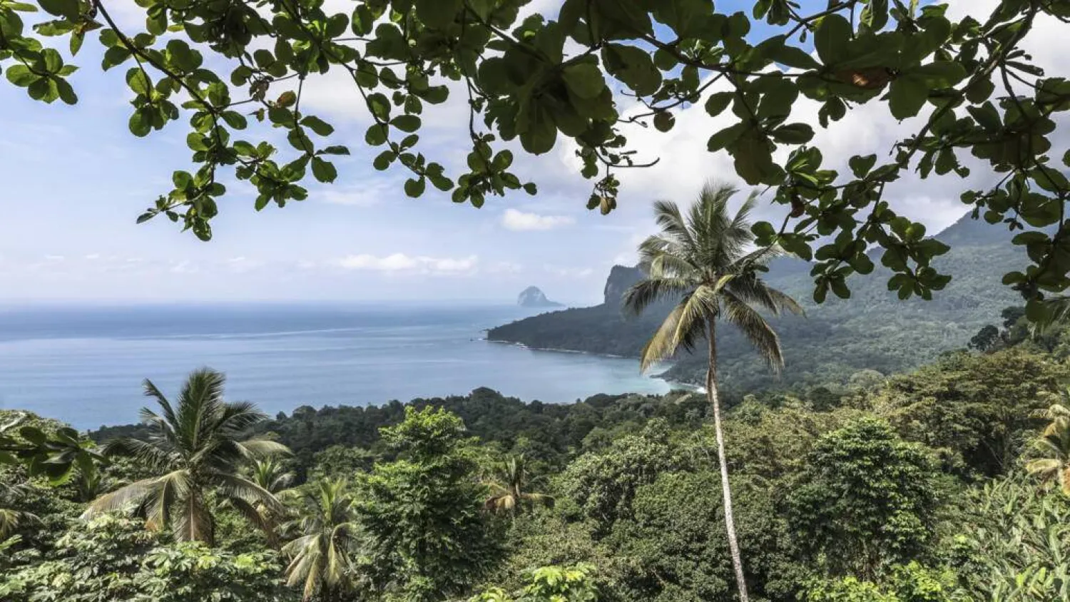 Locals on the island of Principe are paid a financial dividend to preserve its natural beauty. Daniel BELOUMOU OLOMO / AFP
