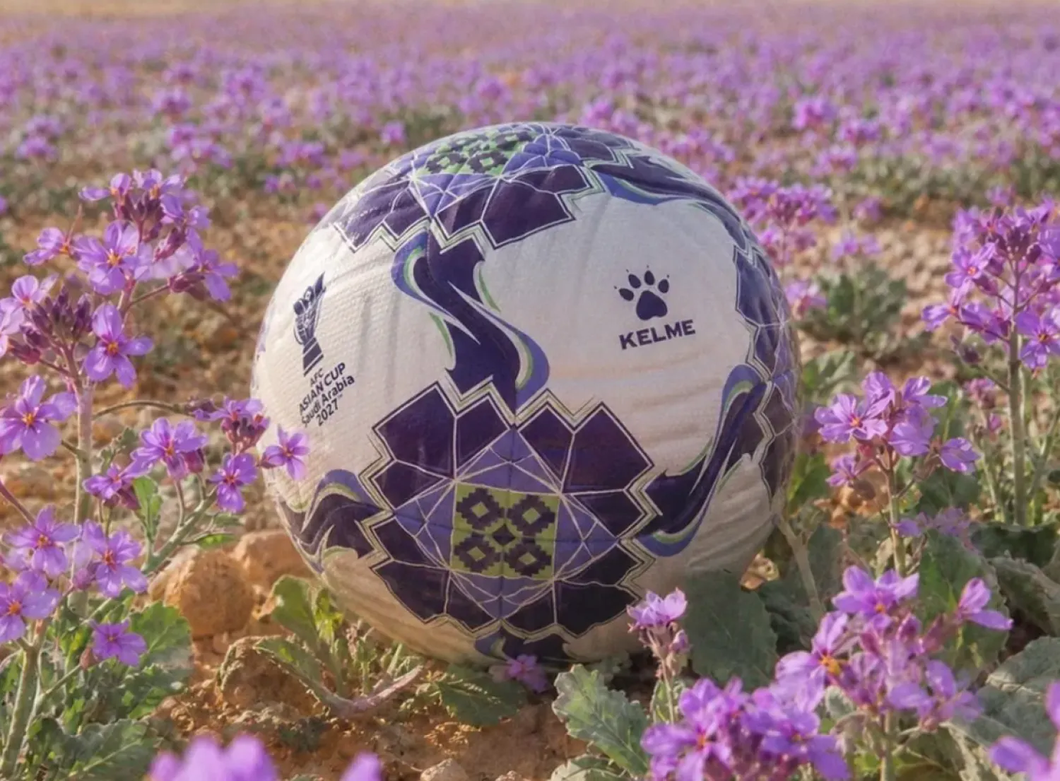 The ball's name draws on the wild lavender plant found across the Kingdom of Saudi Arabia - SPA