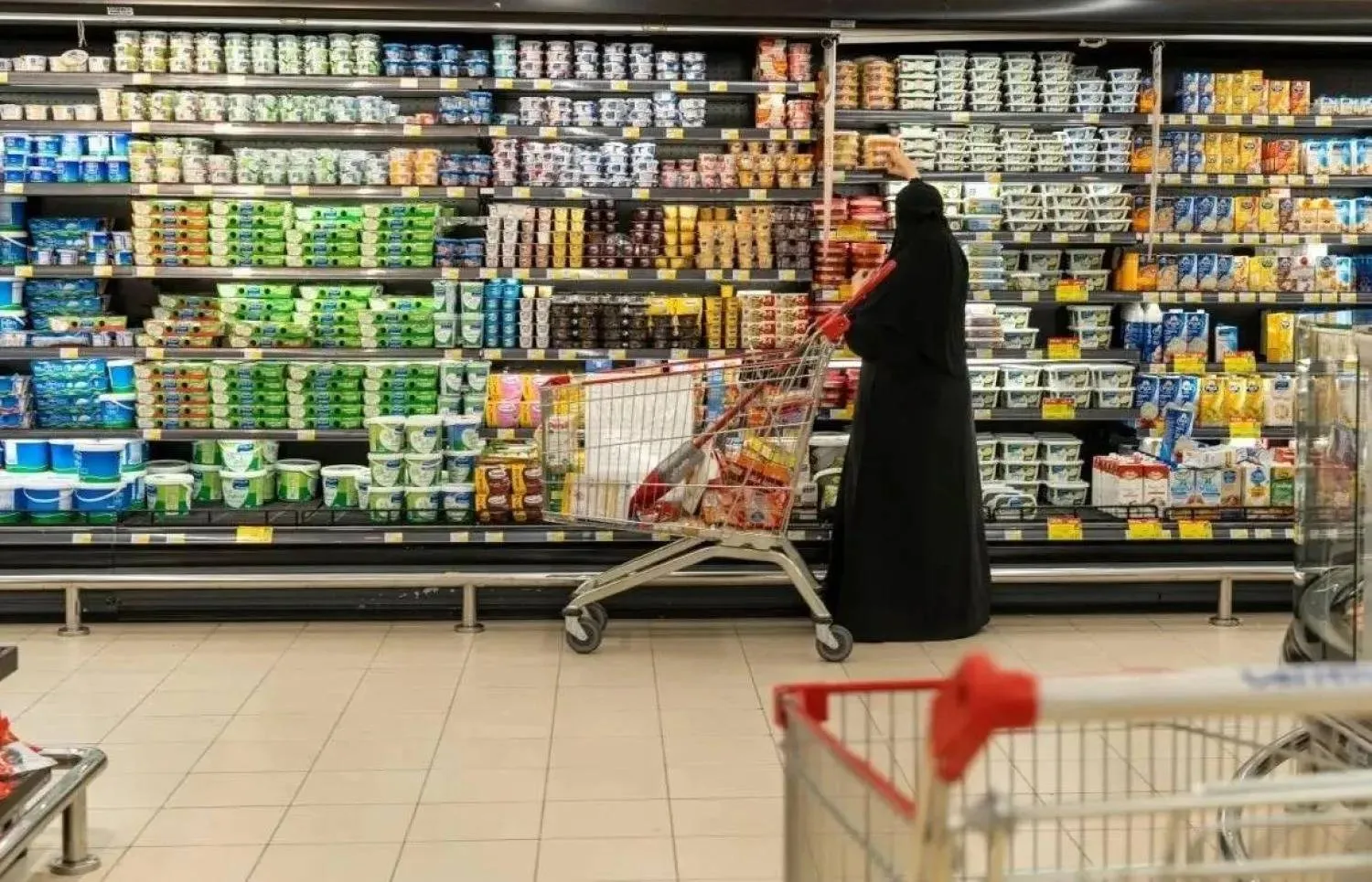 امرأة تتبضع من أحد المراكز التجارية والتموينية في السعودية (واس)
