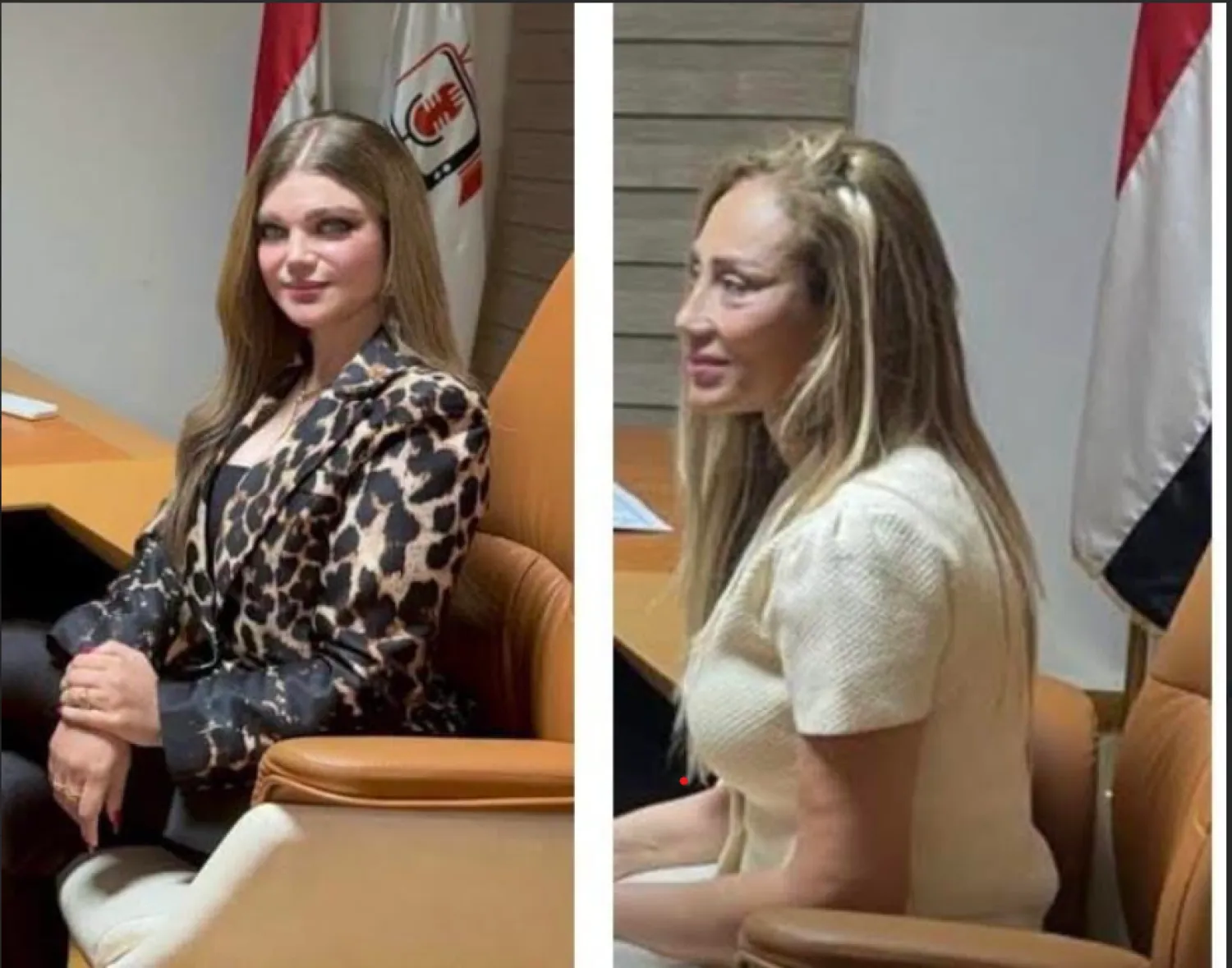 منع مذيعتين مصريتين من الظهور الإعلامي لشهرين (نقابة الإعلاميين على فيسبوك)