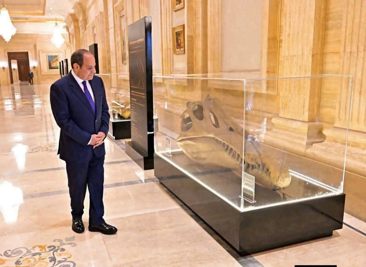الرئيس المصري عبد الفتاح السيسي أمام حفرية «السبينوصور المصري» والمعروضة في صندوق خلال مؤتمر مصر للتعدين (الصفحة الرسمية للهيئة العامة للاستعلامات بـ«فيسبوك»)