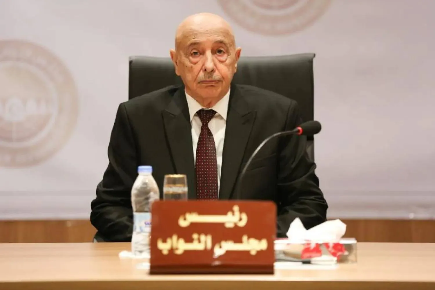 رئيس مجلس النواب الليبي عقيلة صالح خلال جلسة سابقة (المركز الإعلامي لصالح)