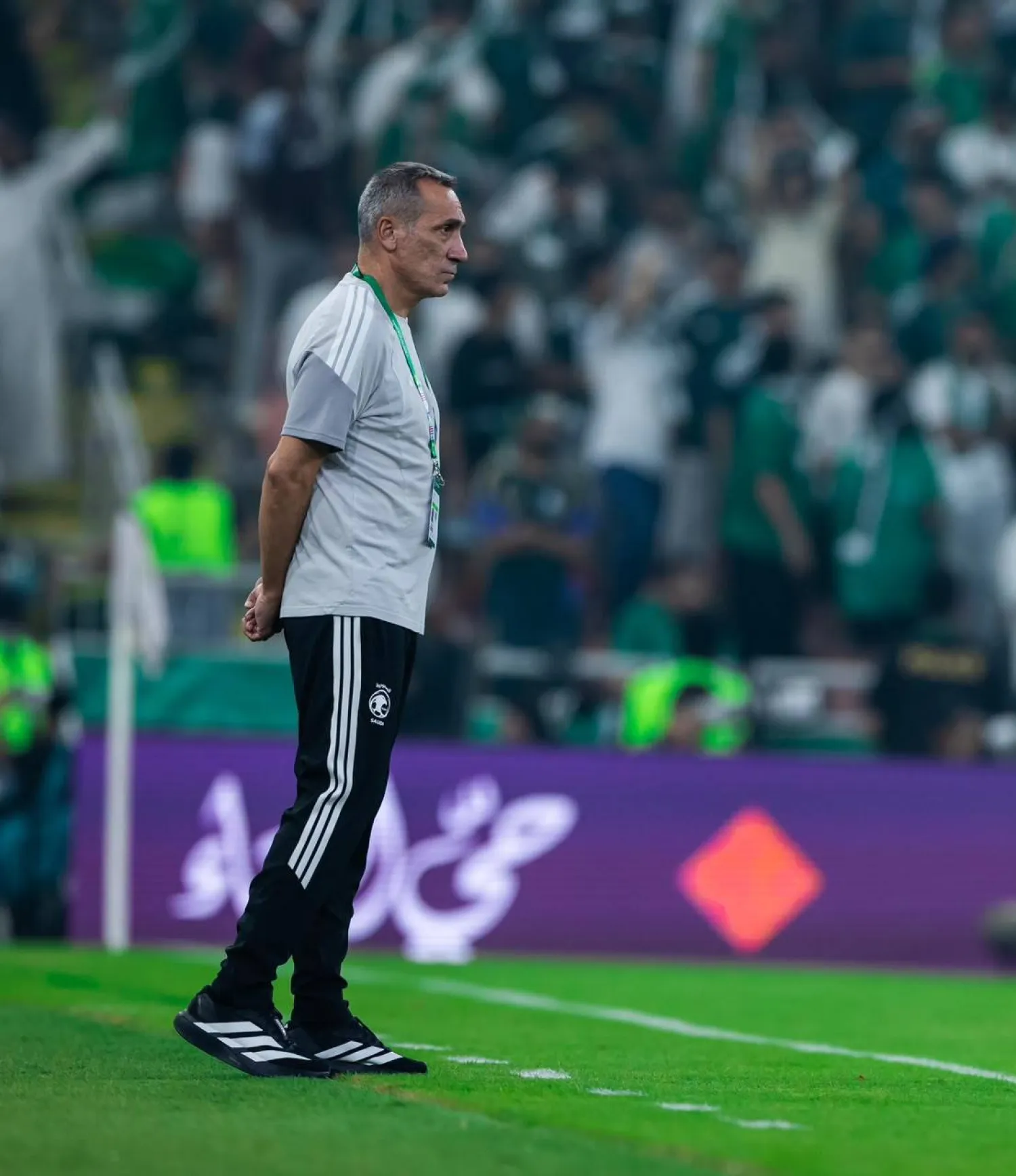 دونيس يعيد اكتشاف نجوم الأخضر ويوظفهم بأدوار جديدة (المنتخب السعودي)