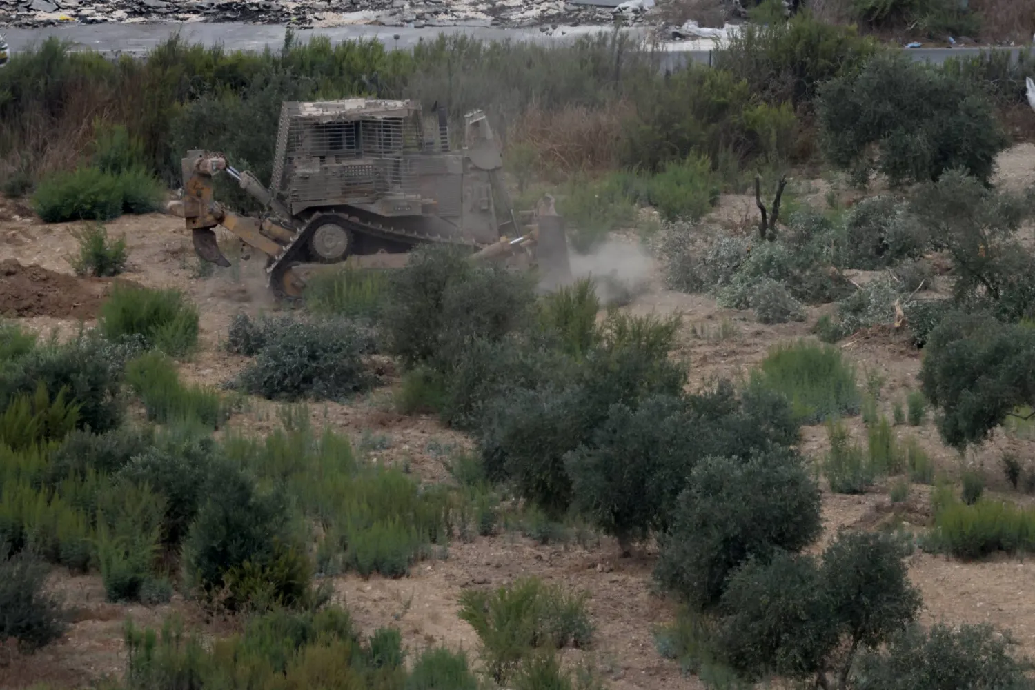 جرافة إسرائيلية تقتلع أشجار زيتون فلسطينية في قرية عنزة قرب مدينة جنين بالضفة الغربية (إ.ب.أ)