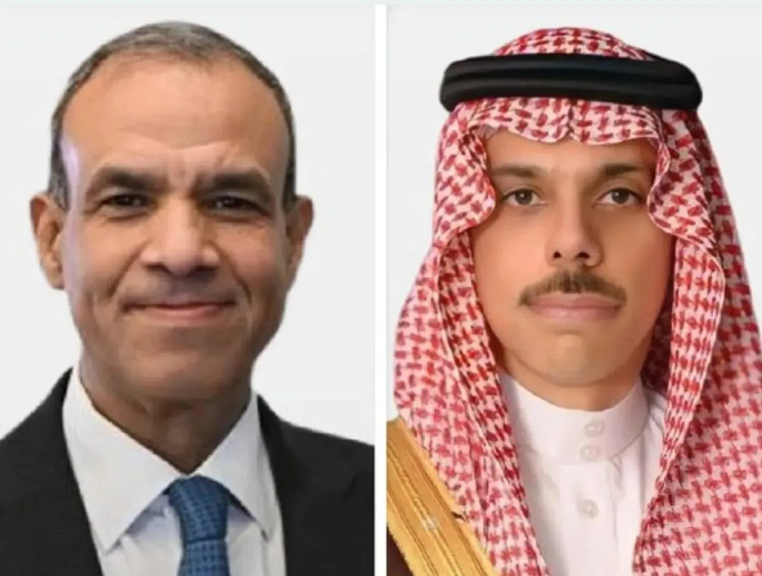 الأمير فيصل بن فرحان والوزير بدر عبد العاطي (الخارجية السعودية)