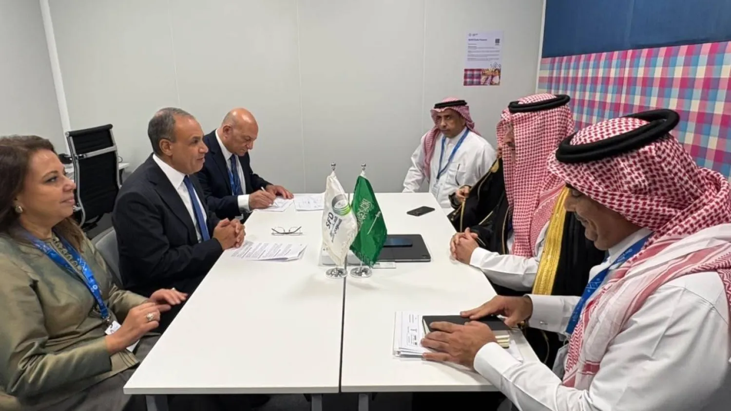 محادثات وزير الخارجية المصري مع الرئيس التنفيذي للصندوق السعودي للتنمية (صفحة وزارة الخارجية على فيسبوك)