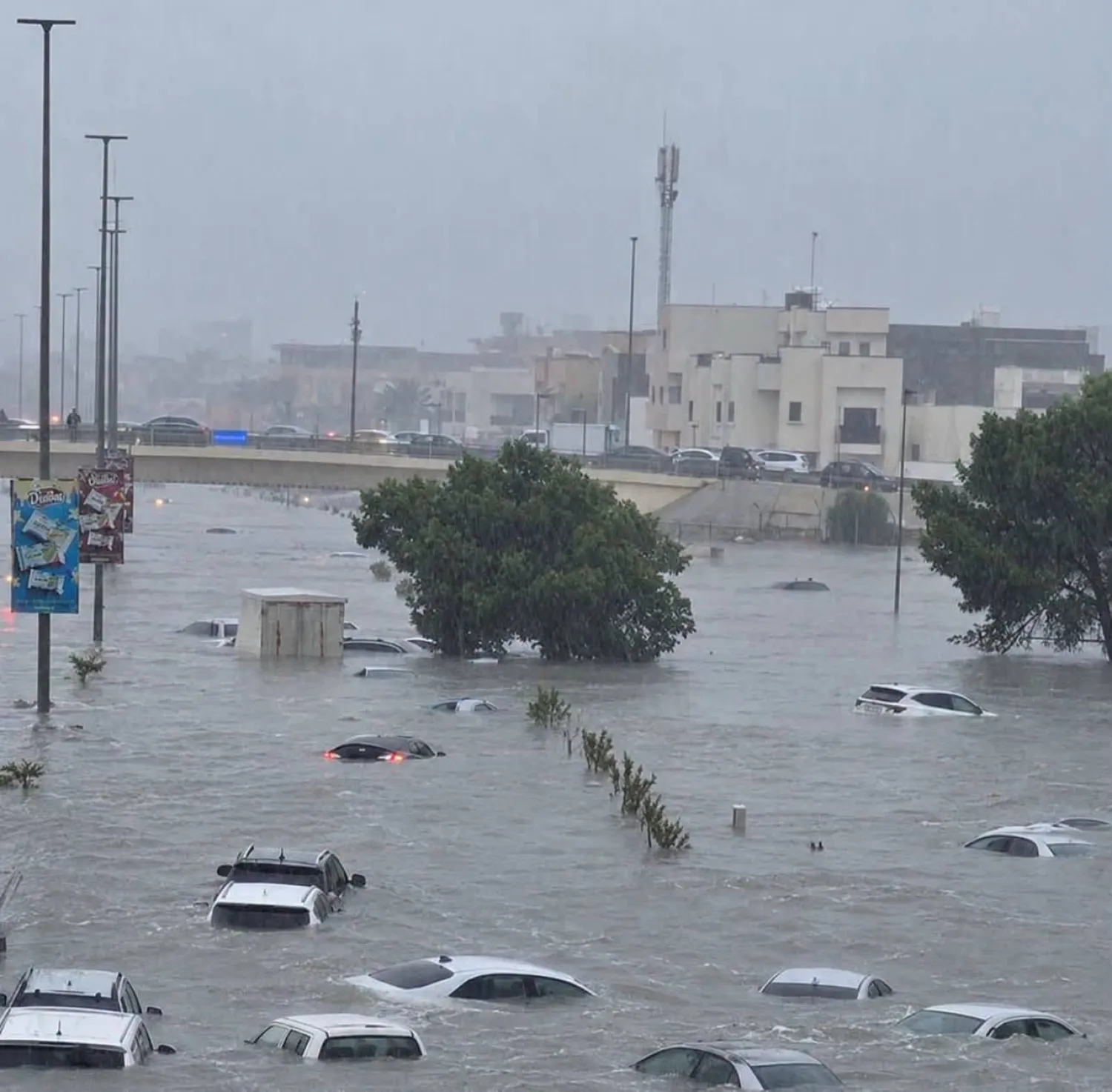 أمطار طوفانية تسببت في غرق سيارات بالعاصمة الليبية (صفحات موثوقة على مواقع التواصل الاجتماعي)