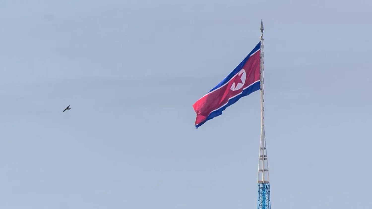 North Korea has tested a "new-type" precision-guided torpedo system that uses artificial intelligence for target detection and guidance, state media reports. ANTHONY WALLACE / AFP/File