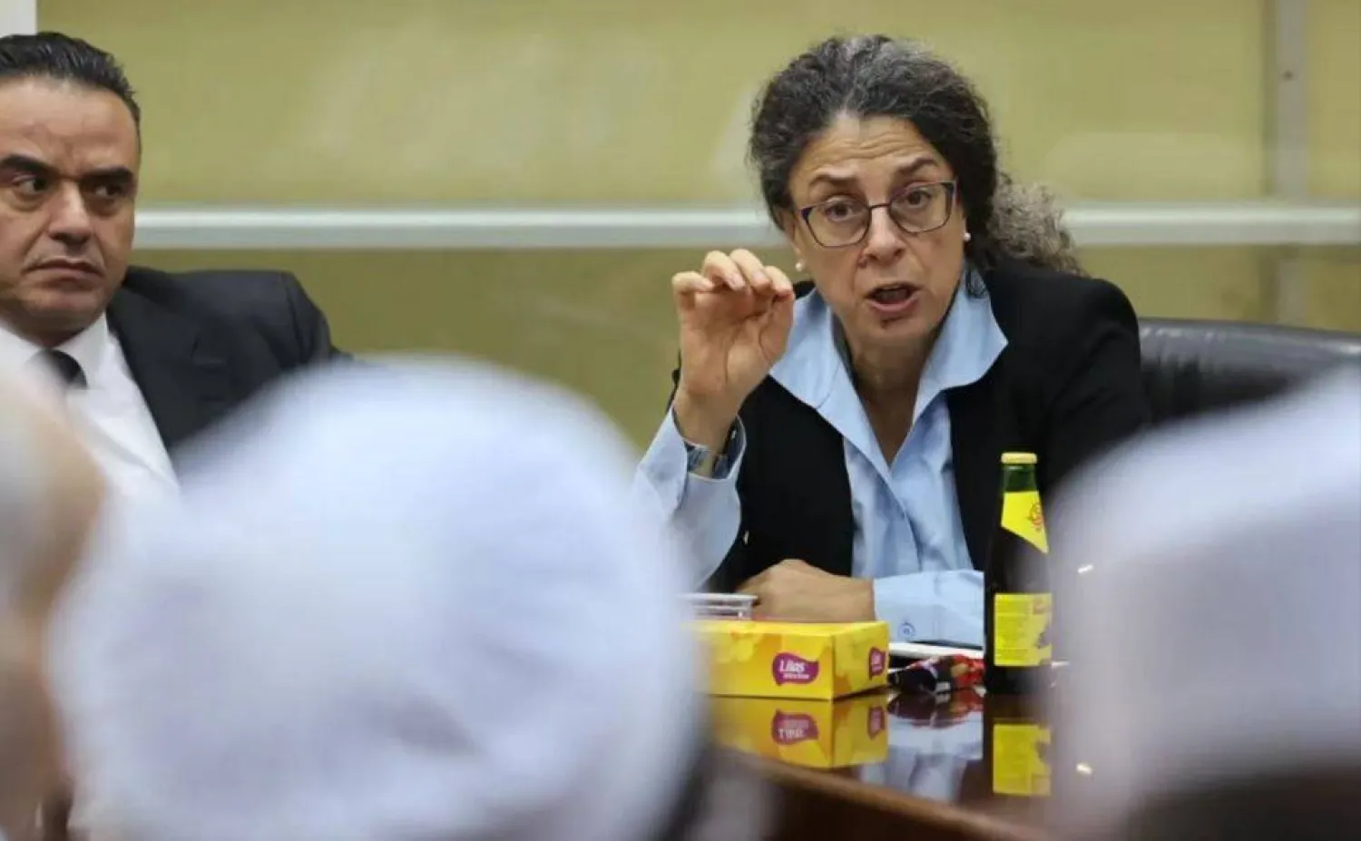 نائبة المبعوثة الأممية ستيفاني خوري خلال لقاء مع شيوخ قبائل وأكاديميين في غريان الأحد الماضي (البعثة الأممية)
