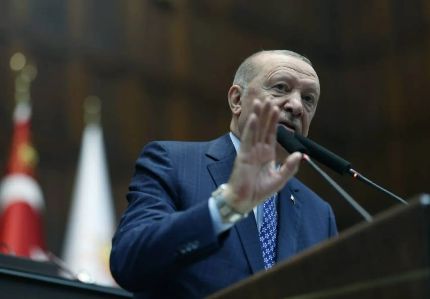 الرئيس التركي رجب طيب إردوغان (الرئاسة التركية)
