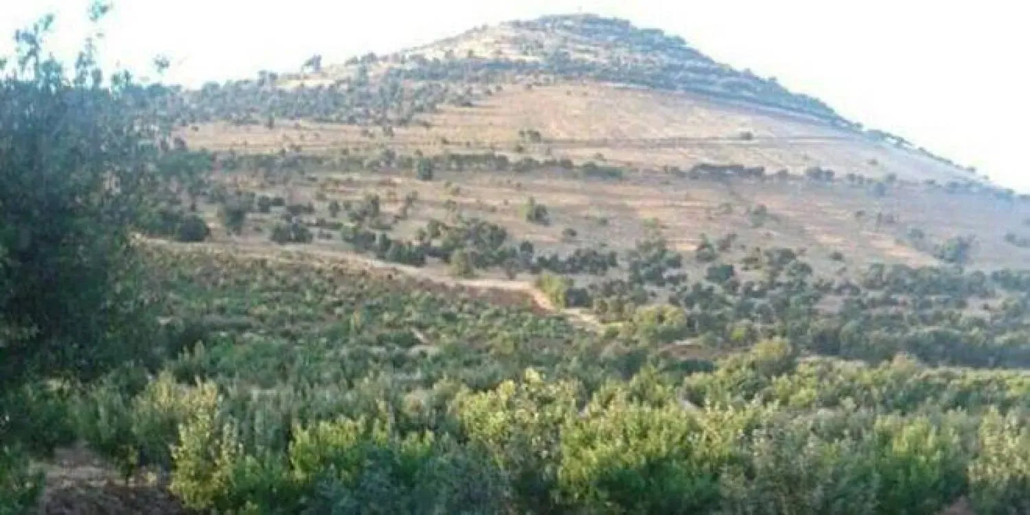 Tal Qulaib in Syria's Sweida province (File photo: SANA)