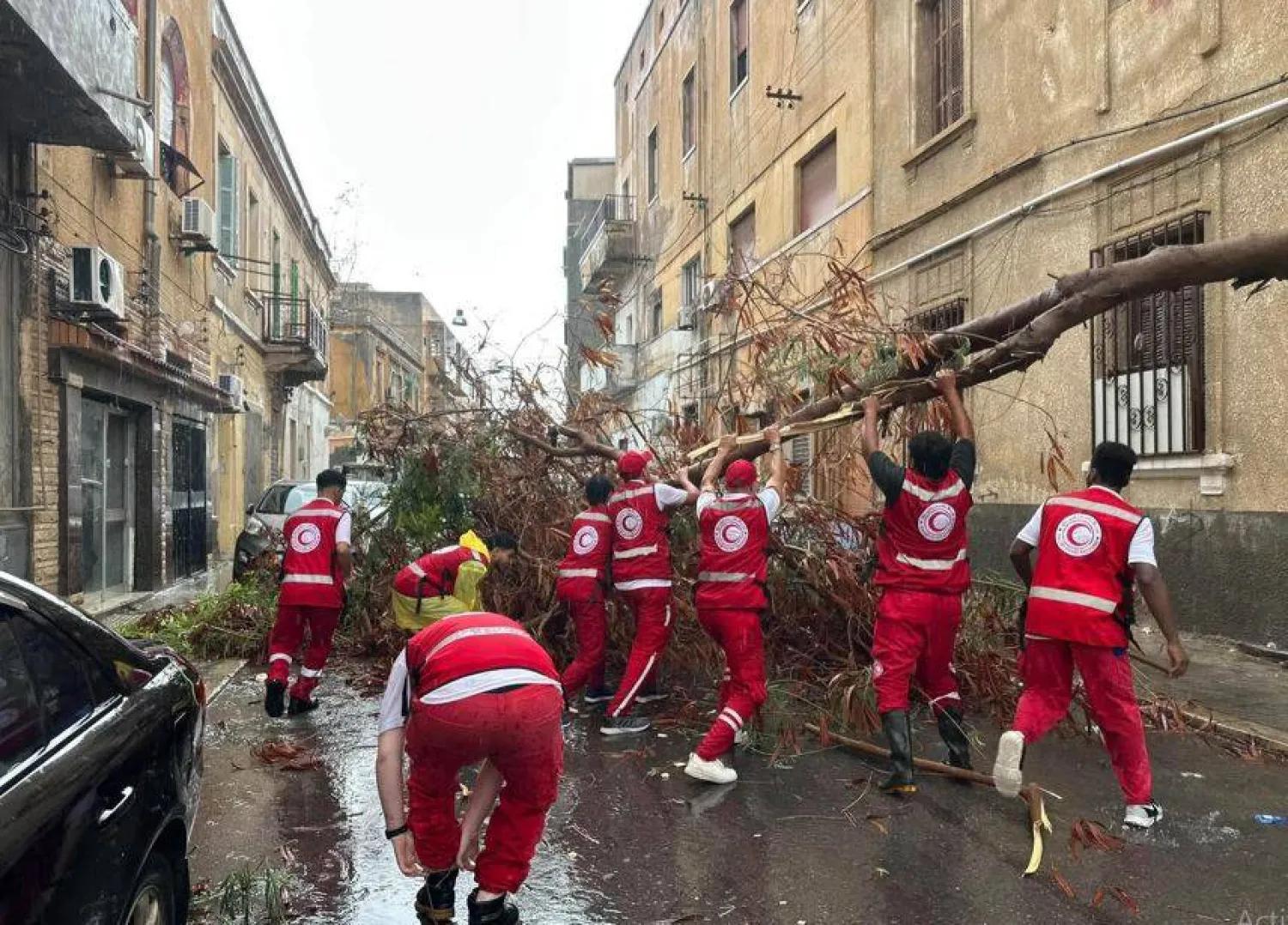 أشجار متساقطة جراء الأمطار بالعاصمة الليبية طرابلس في وقت سابق الشهر الحالي (الهلال الأحمر الليبي)