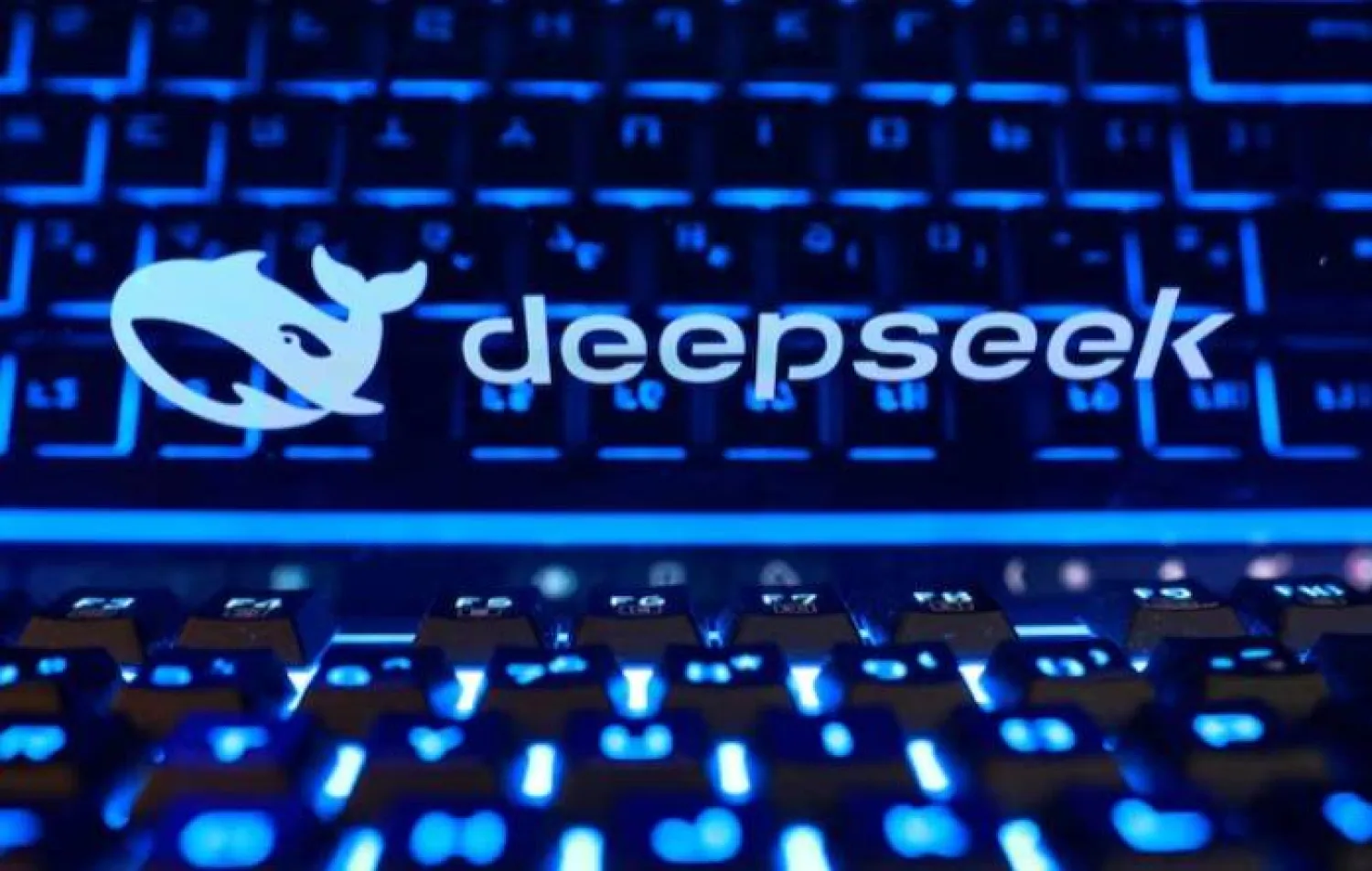 DeepSeek's logo and a keyboard in this illustration taken October 19, 2026. REUTERS/Dado Ruvic/Illustration/File Photo Purchase Licensing Rights