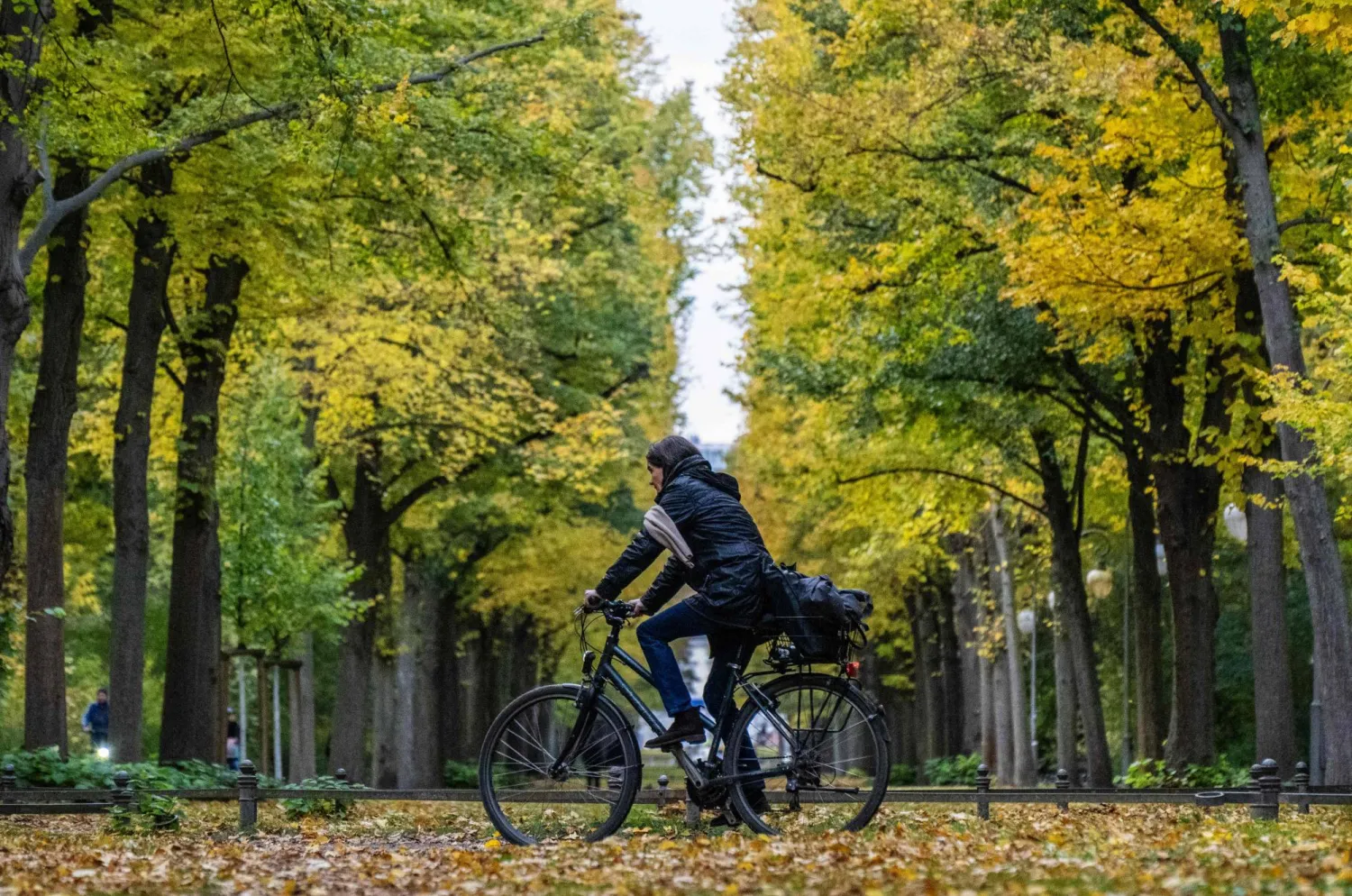 A woman cycles through the Tiergarten park in Berlin as trees sport their autumn foliage, on October 27, 2026. (Photo by John MACDOUGALL / AFP)
