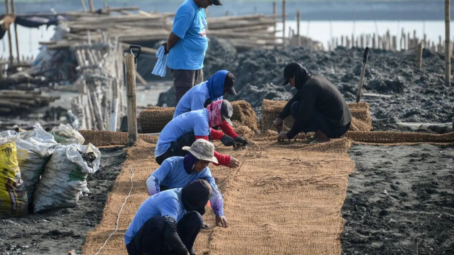 Workers lay coconut-fibre bags next to oyster shells on a breakwater at Pamarawan Island in Malolos City, in the Philippines Bulacan province. Ted ALJIBE / AFP
