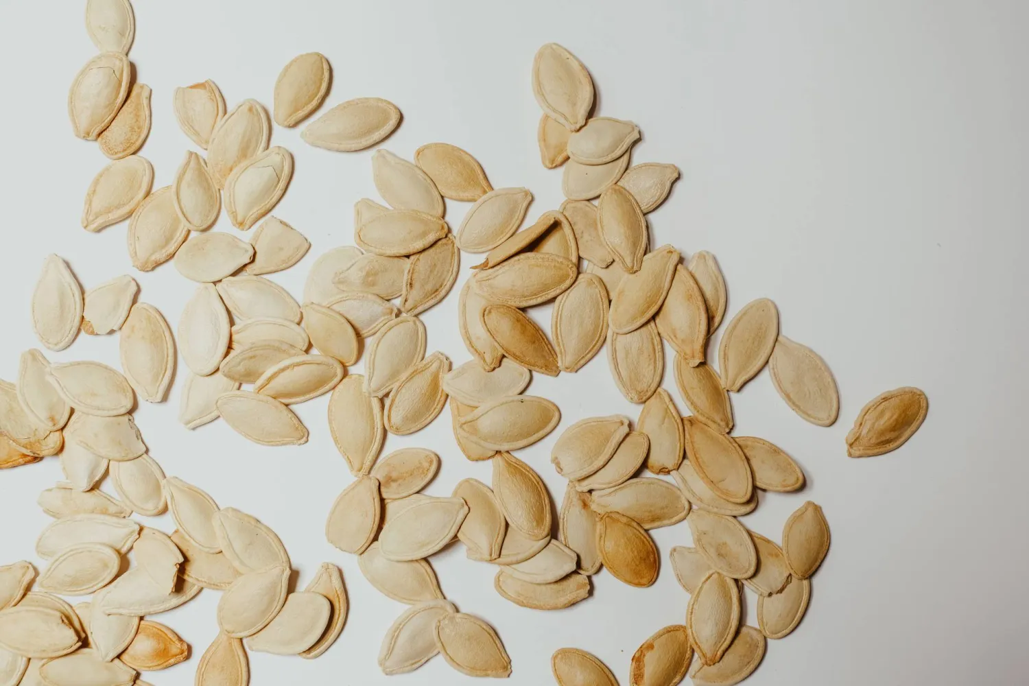 بذور اليقطين تُعدُّ مصدراً غنياً بالألياف الغذائية (بيكسلز)