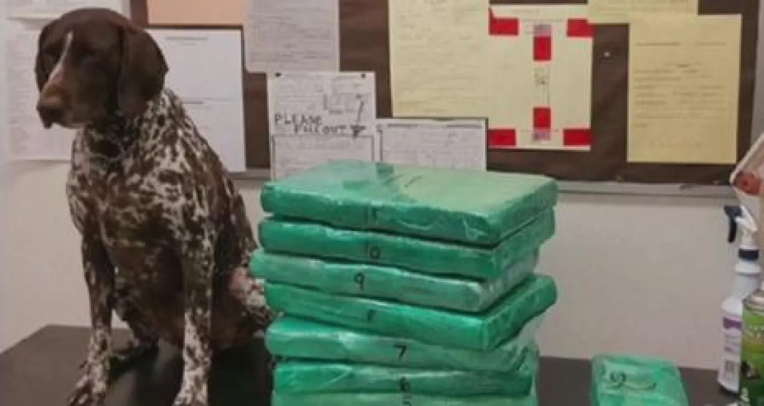 مضيفة طيران تهرب من مطار لوس أنجليس قبل تهريبها الكوكايين