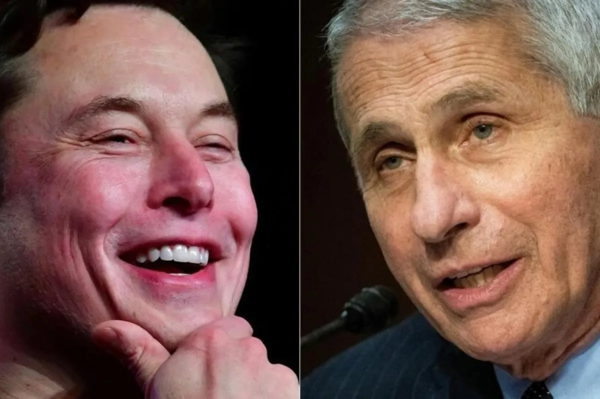 Elon Musk'tan tartışma yaratan tweet: "Benim cinsiyet zamirlerim ...