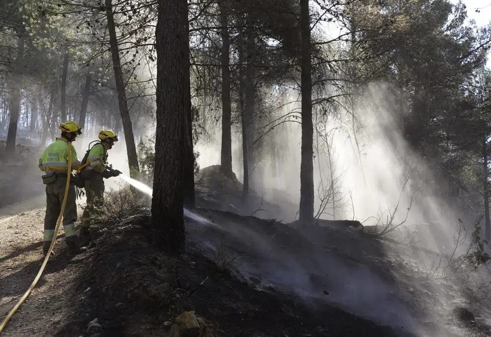 With Record Heat and Drought-stricken Woods, Spain's Catalonia Faces Perfect Wildfire Conditions - Vimarsana News