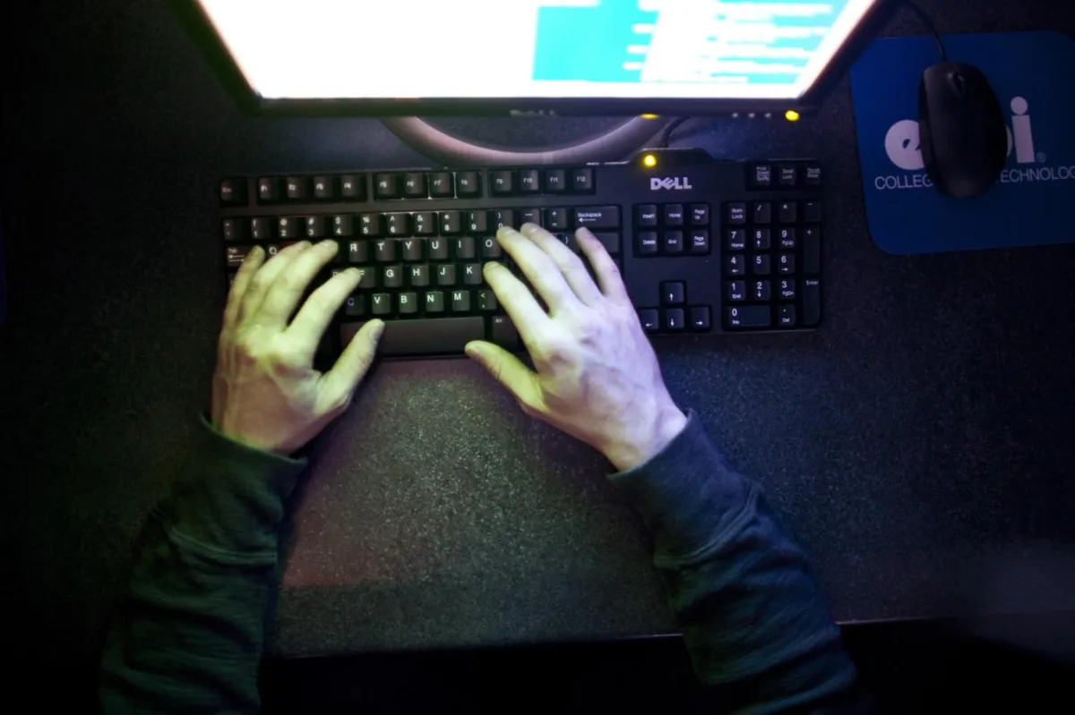 Incellere yönelik ilk resmi çalışma: Sonuçlar genel kanıyla çelişiyor