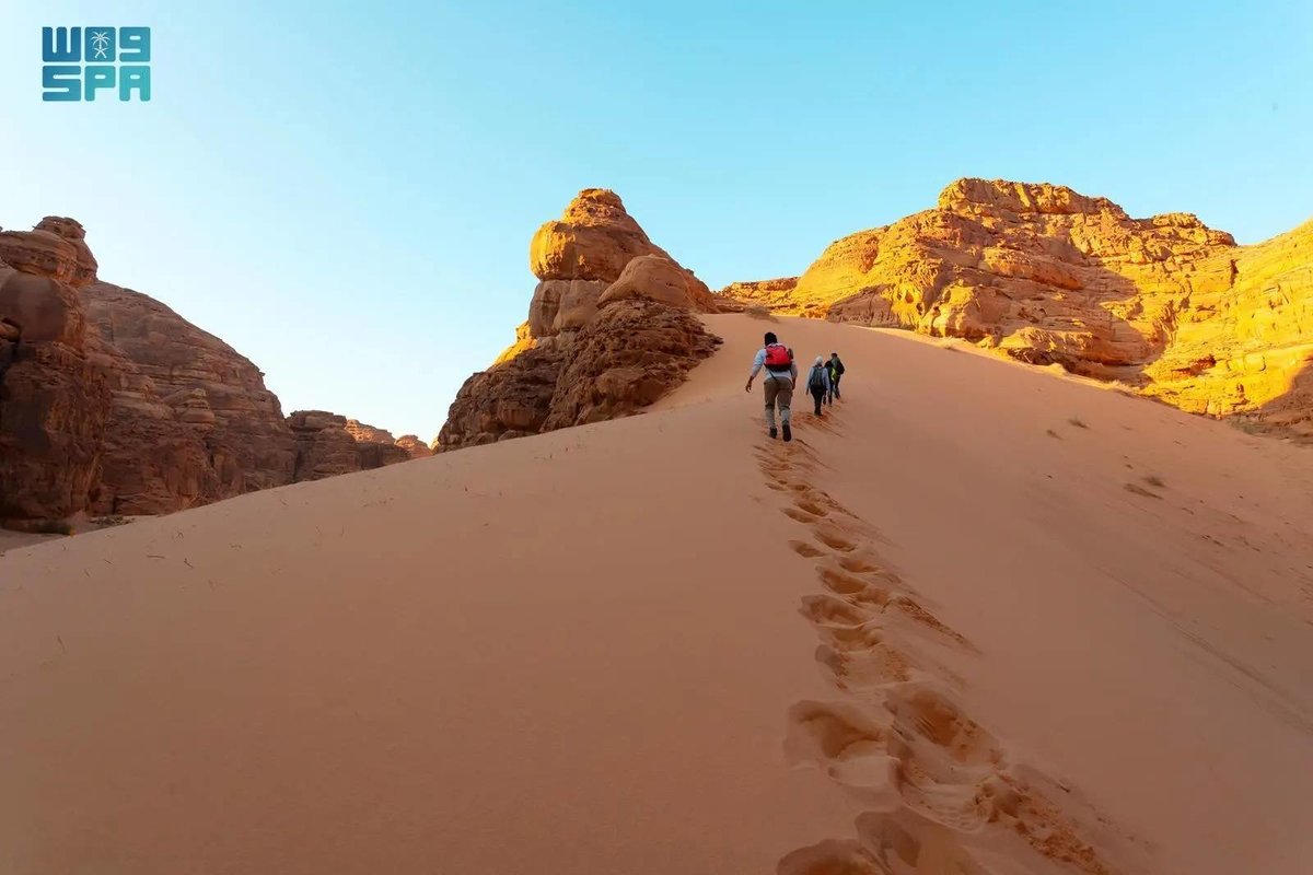 AlUla Wellness Festival Unveils Array of Innovative Nature-Centric Activities - Vimarsana News