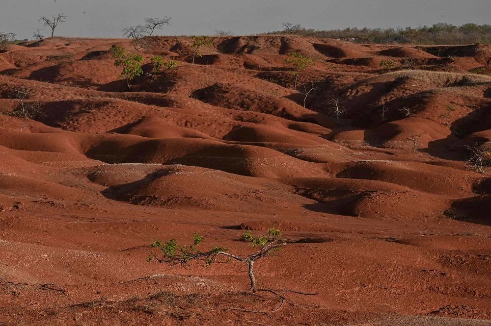 Worsening Sand, Dust Storms Driving Global Land Loss, Says UN - Vimarsana News